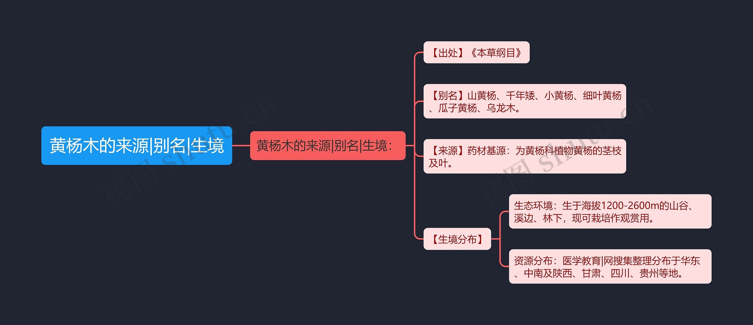 黄杨木的来源|别名|生境思维导图