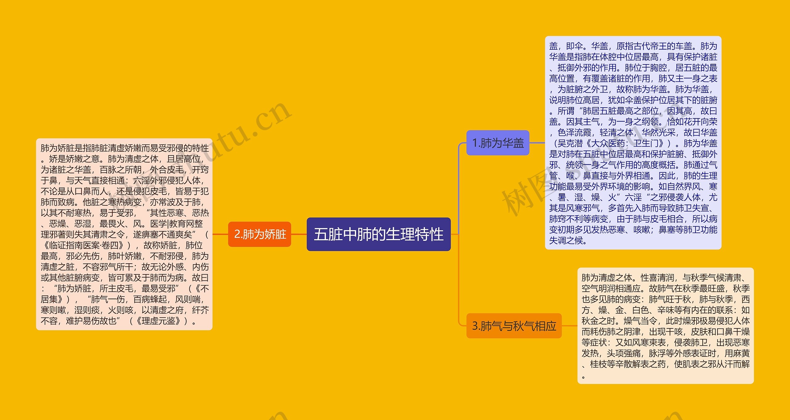 五脏中肺的生理特性思维导图