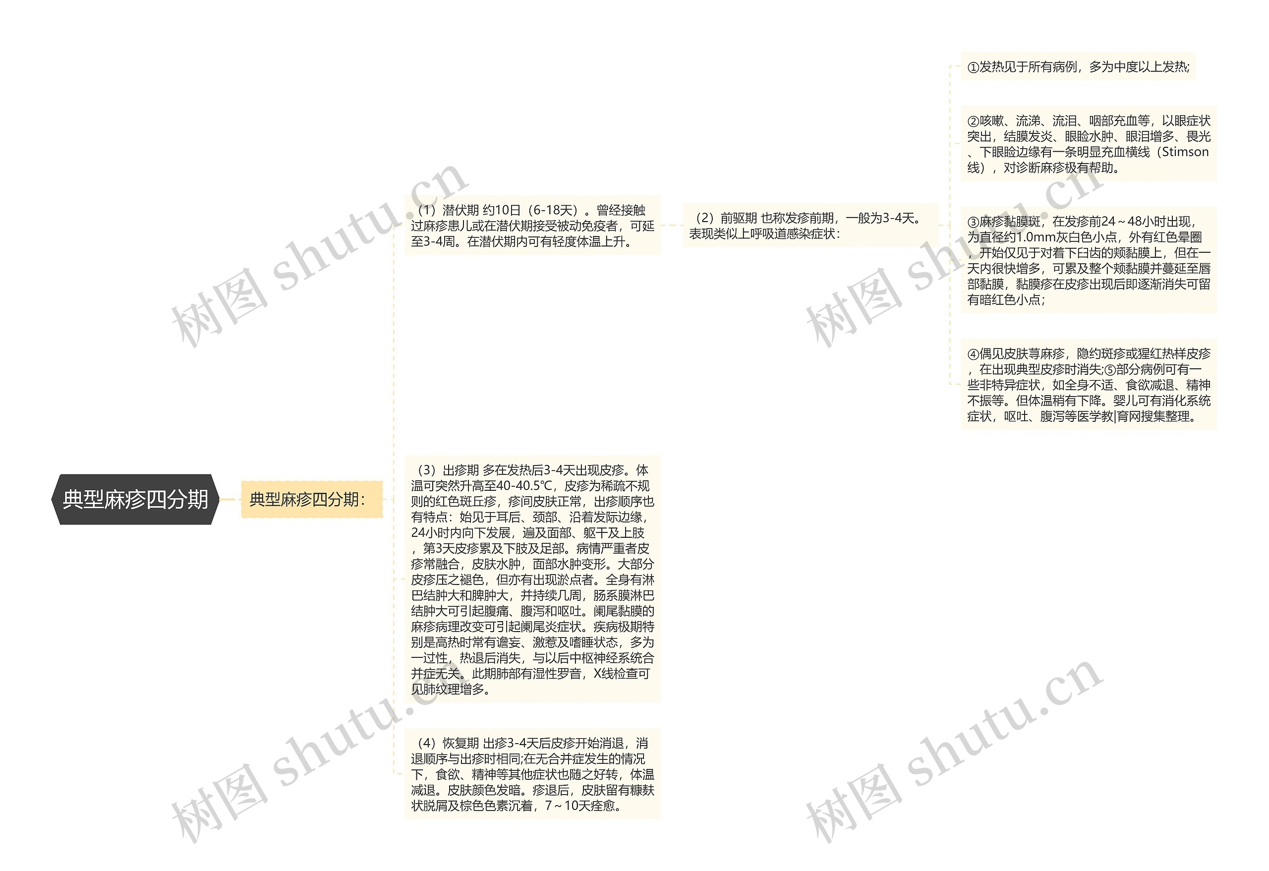 典型麻疹四分期思维导图