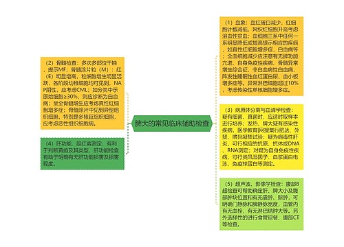 脾大的常见临床辅助检查