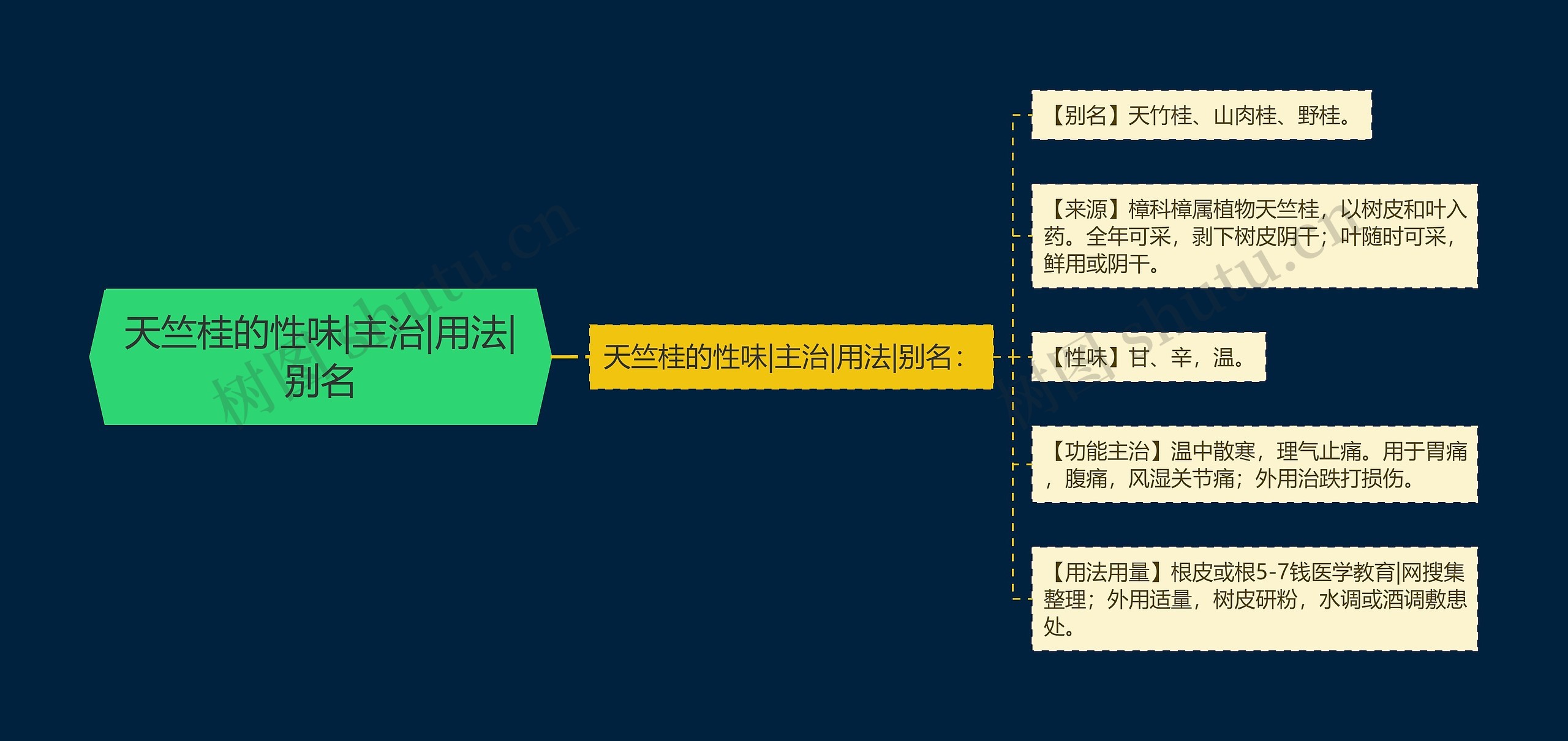 天竺桂的性味|主治|用法|别名思维导图