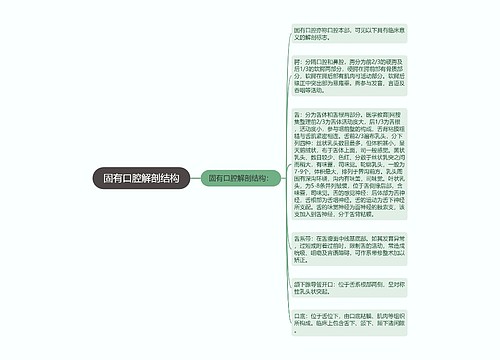 固有口腔解剖结构