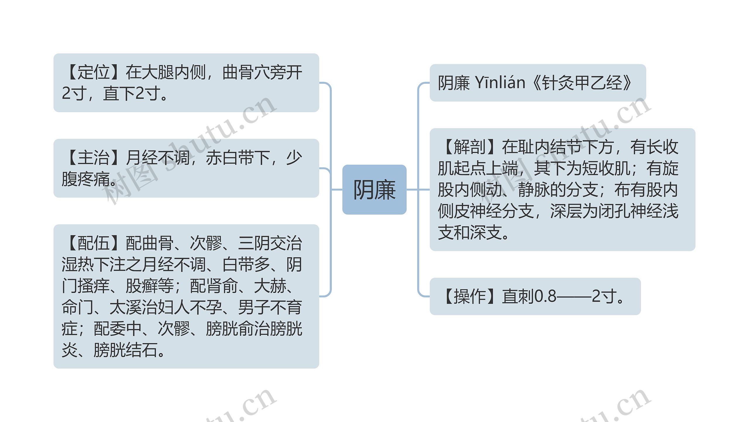 阴廉思维导图