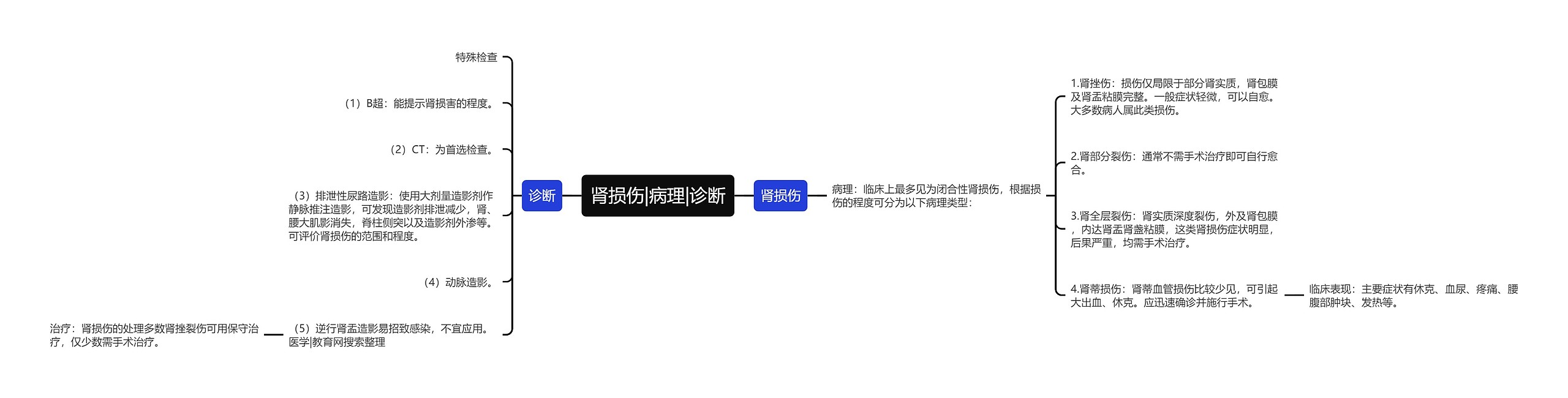 肾损伤|病理|诊断
