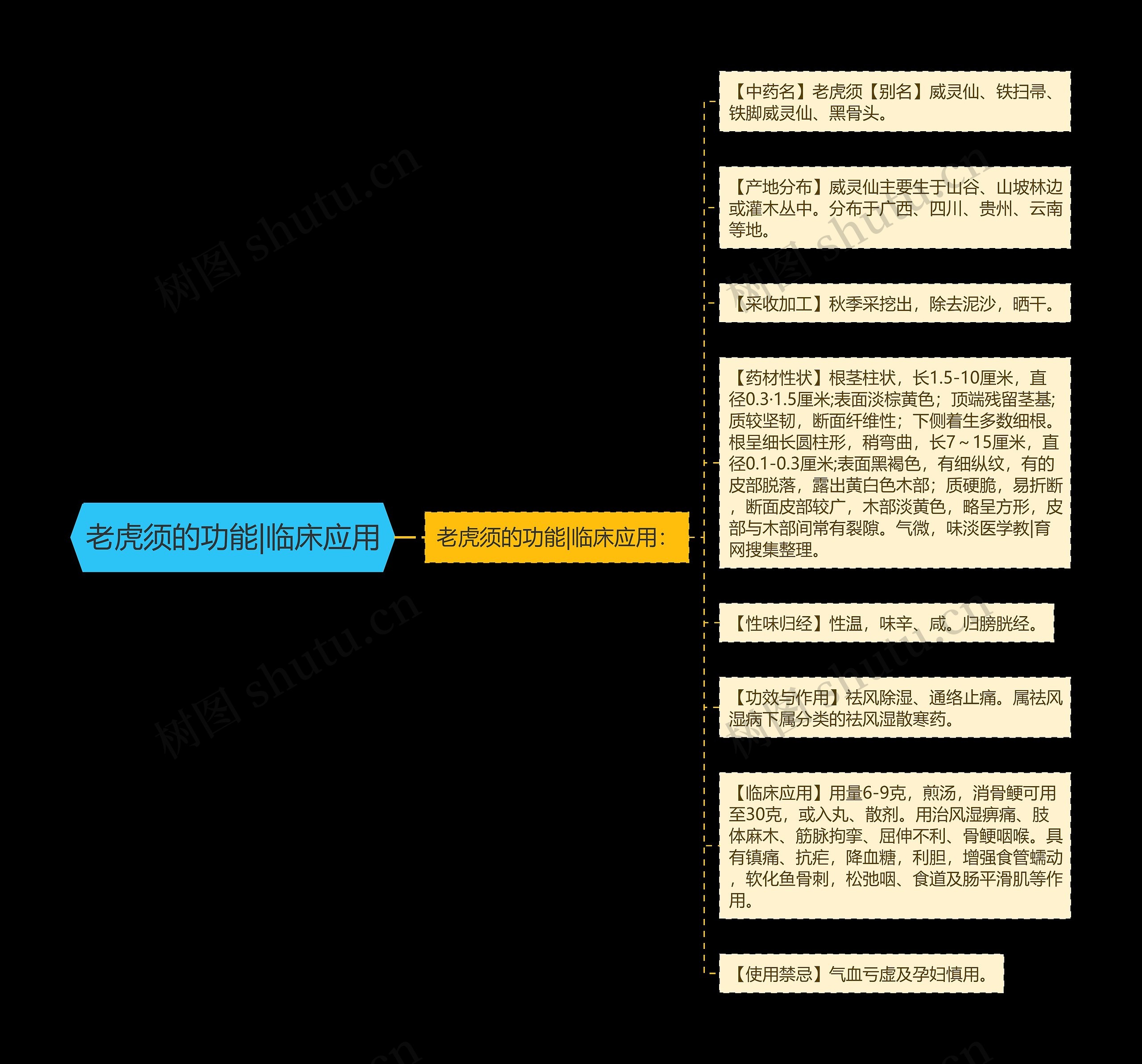 老虎须的功能|临床应用思维导图