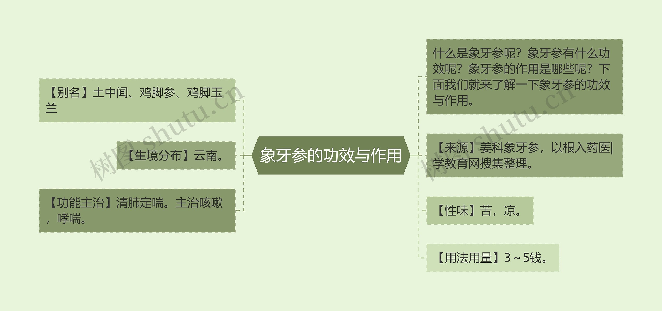 象牙参的功效与作用