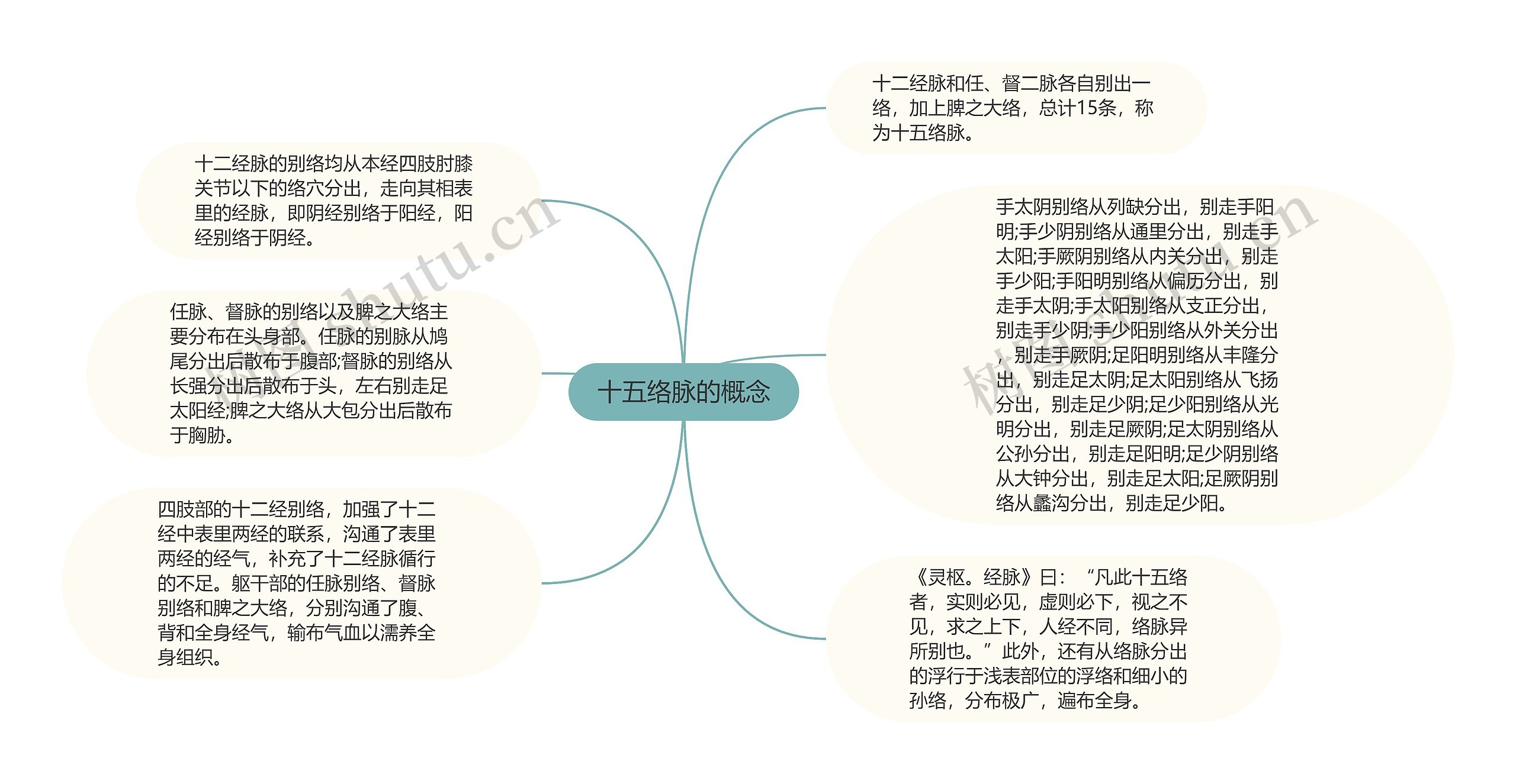 十五络脉的概念思维导图