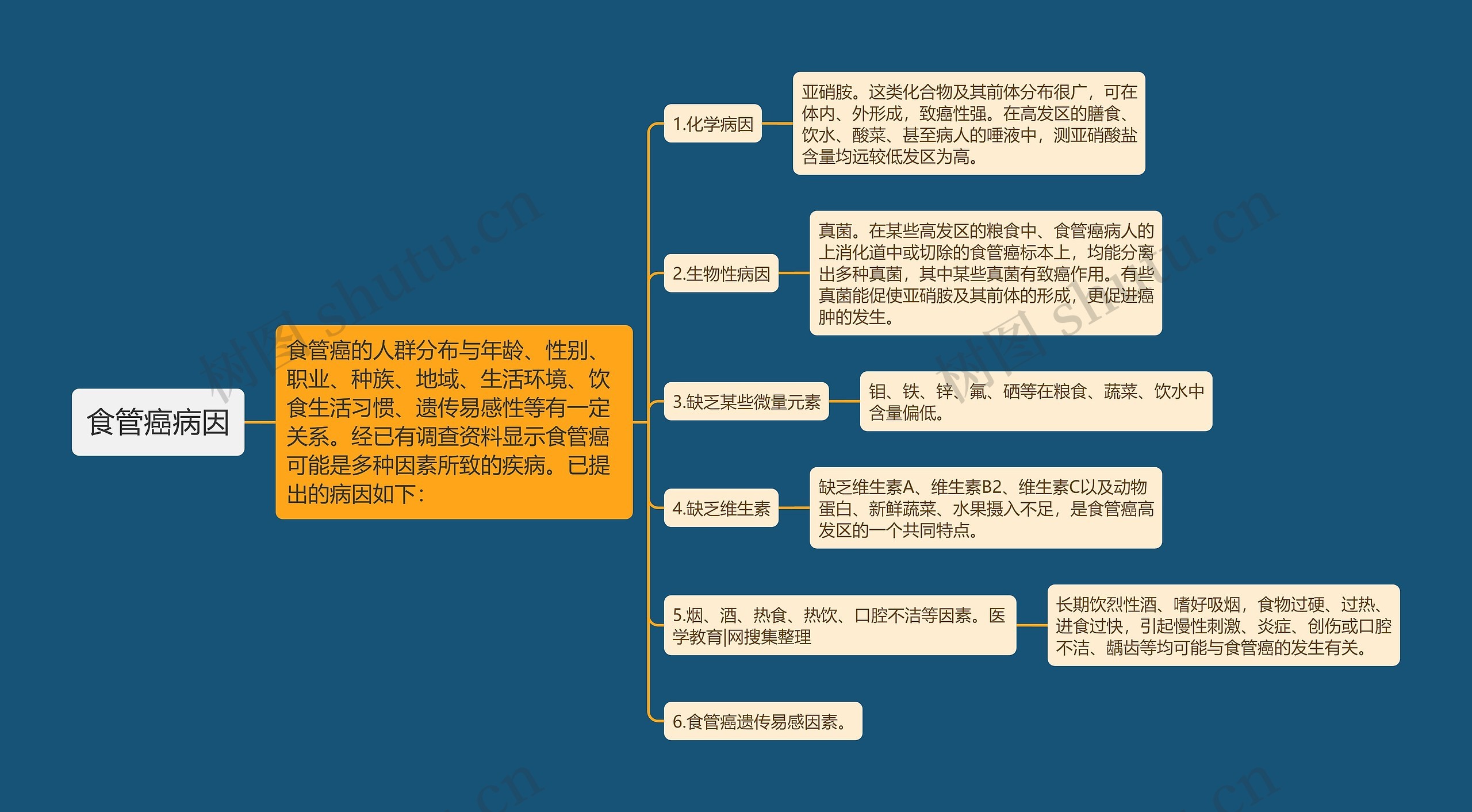 食管癌病因思维导图