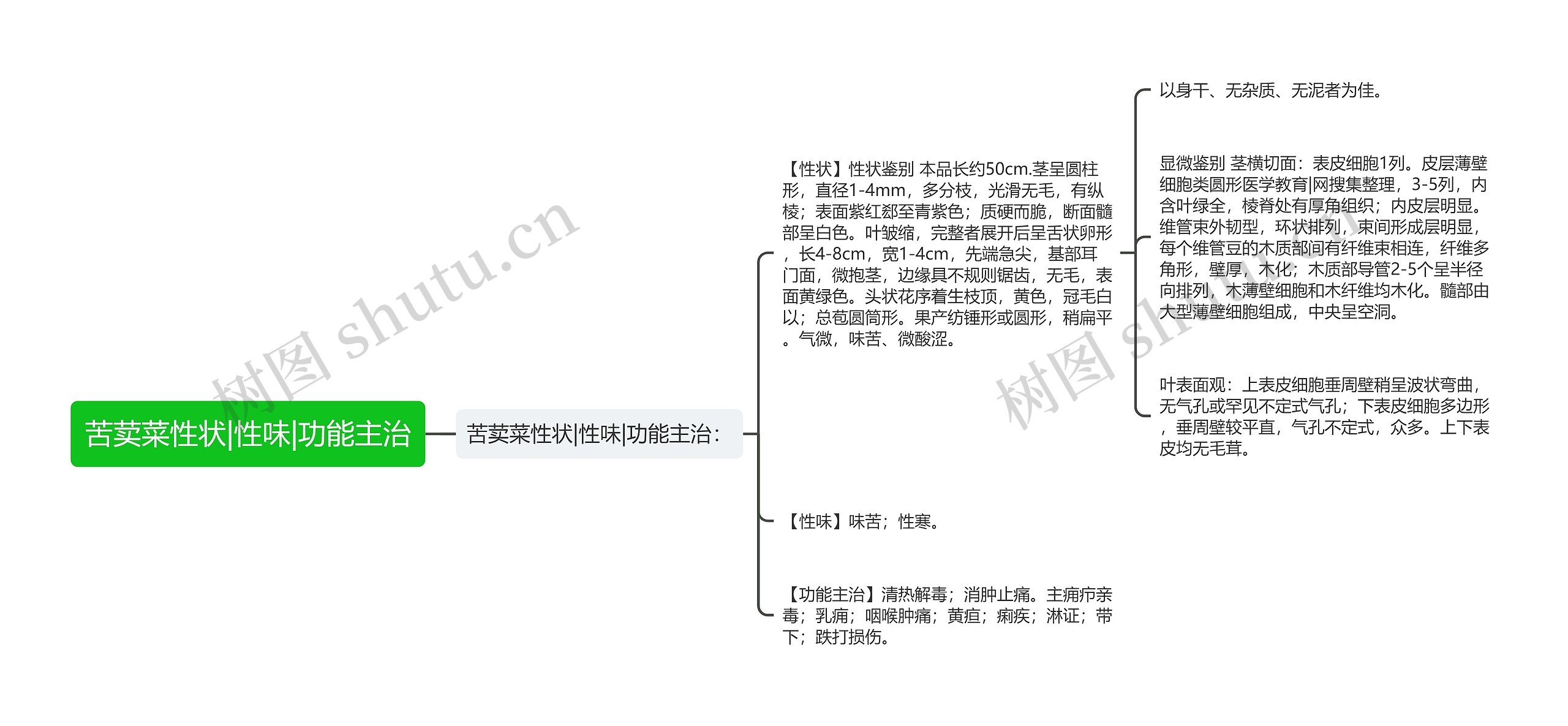 苦荬菜性状|性味|功能主治思维导图