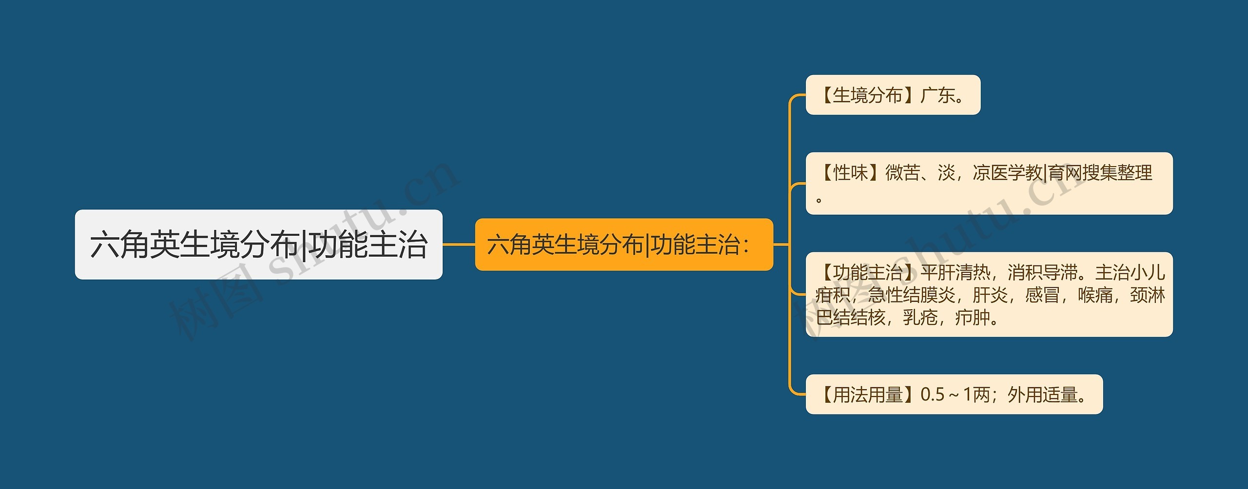 六角英生境分布|功能主治思维导图