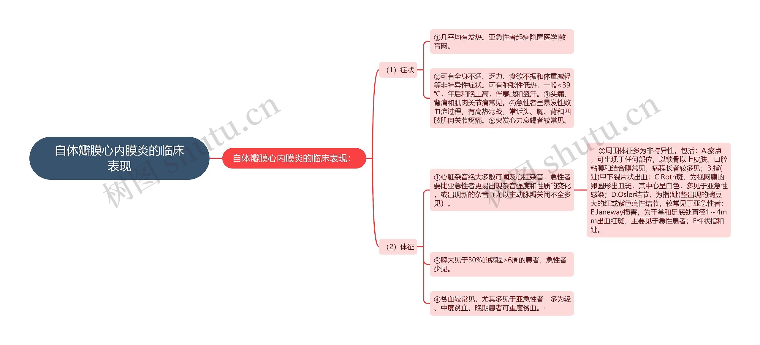 自体瓣膜心内膜炎的临床表现