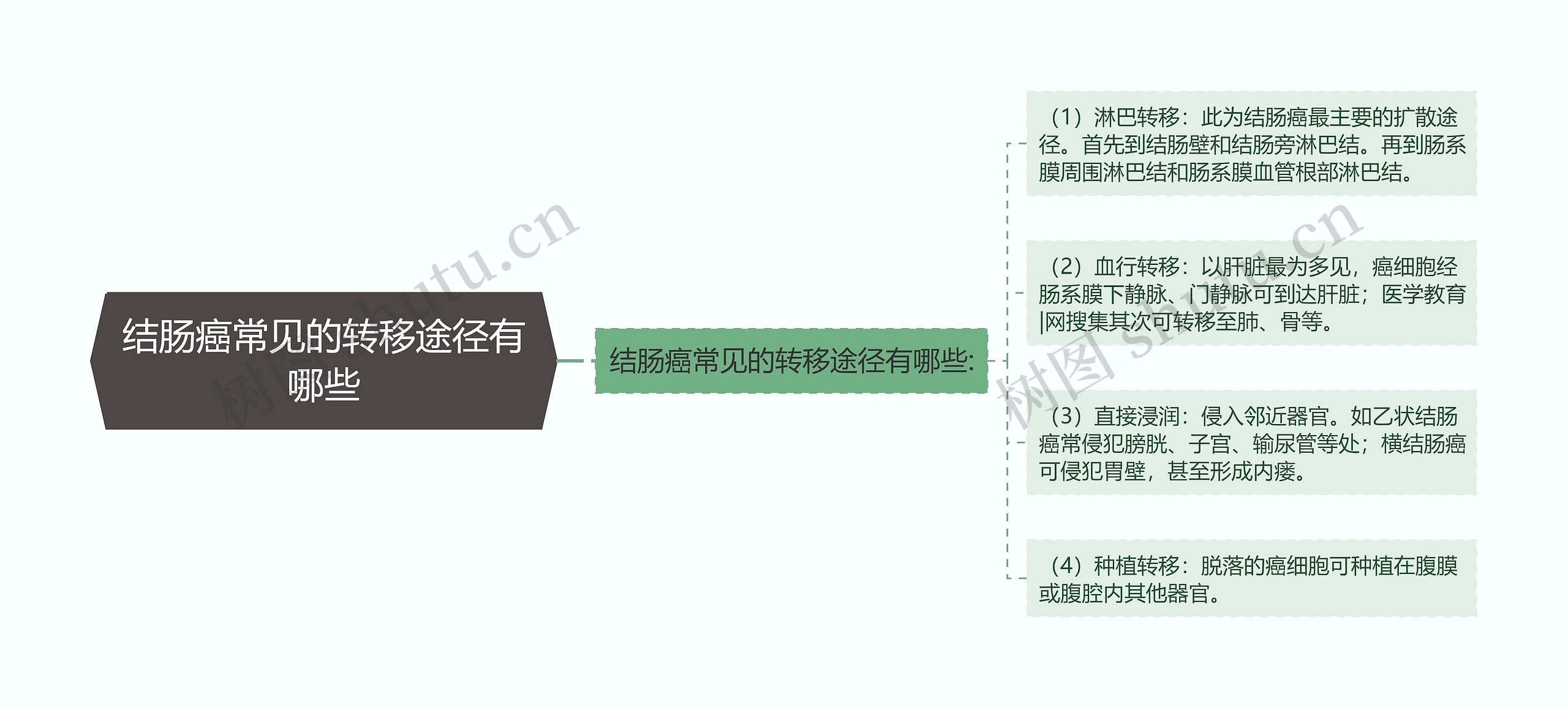 结肠癌常见的转移途径有哪些思维导图