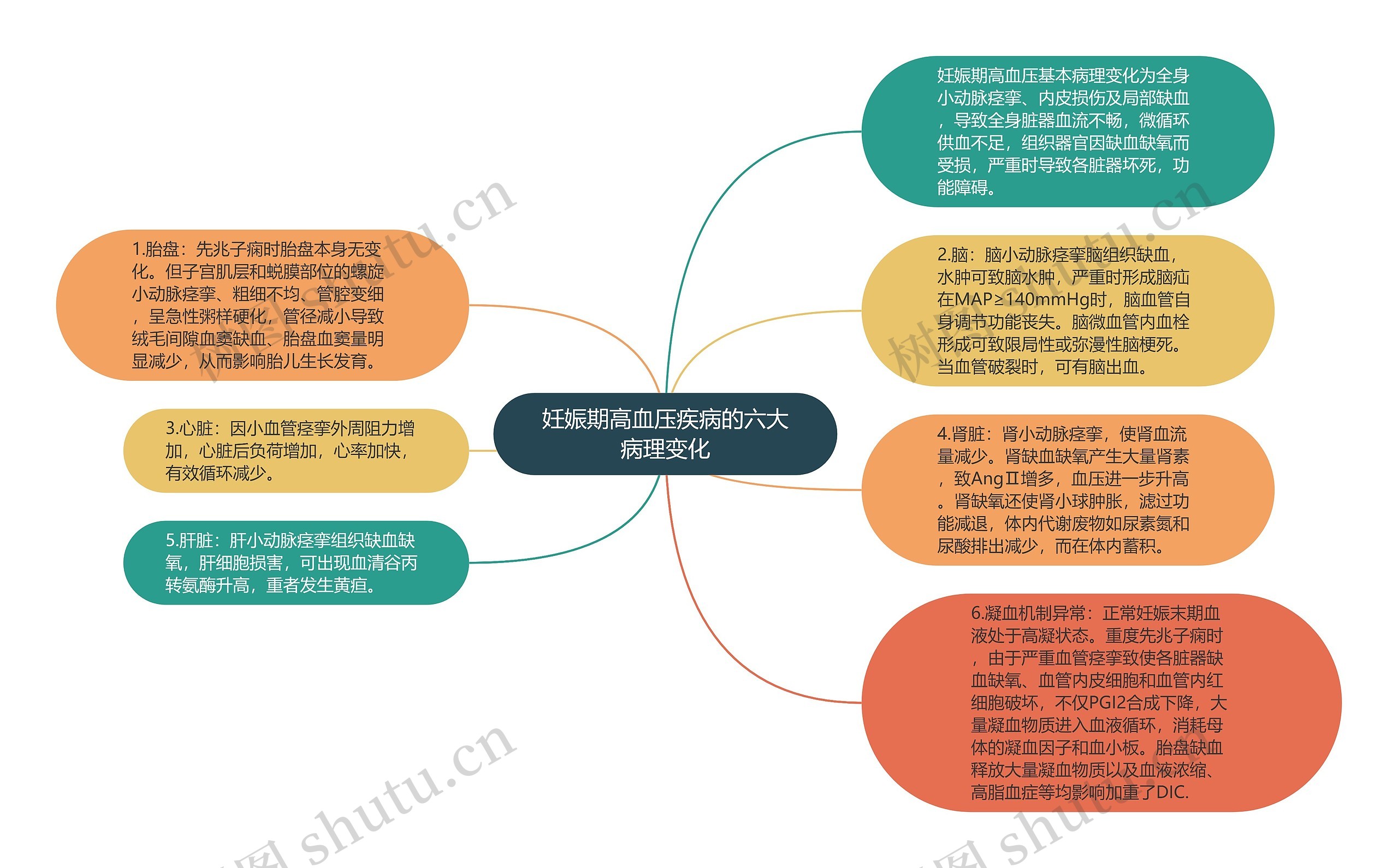 妊娠期高血压疾病的六大病理变化