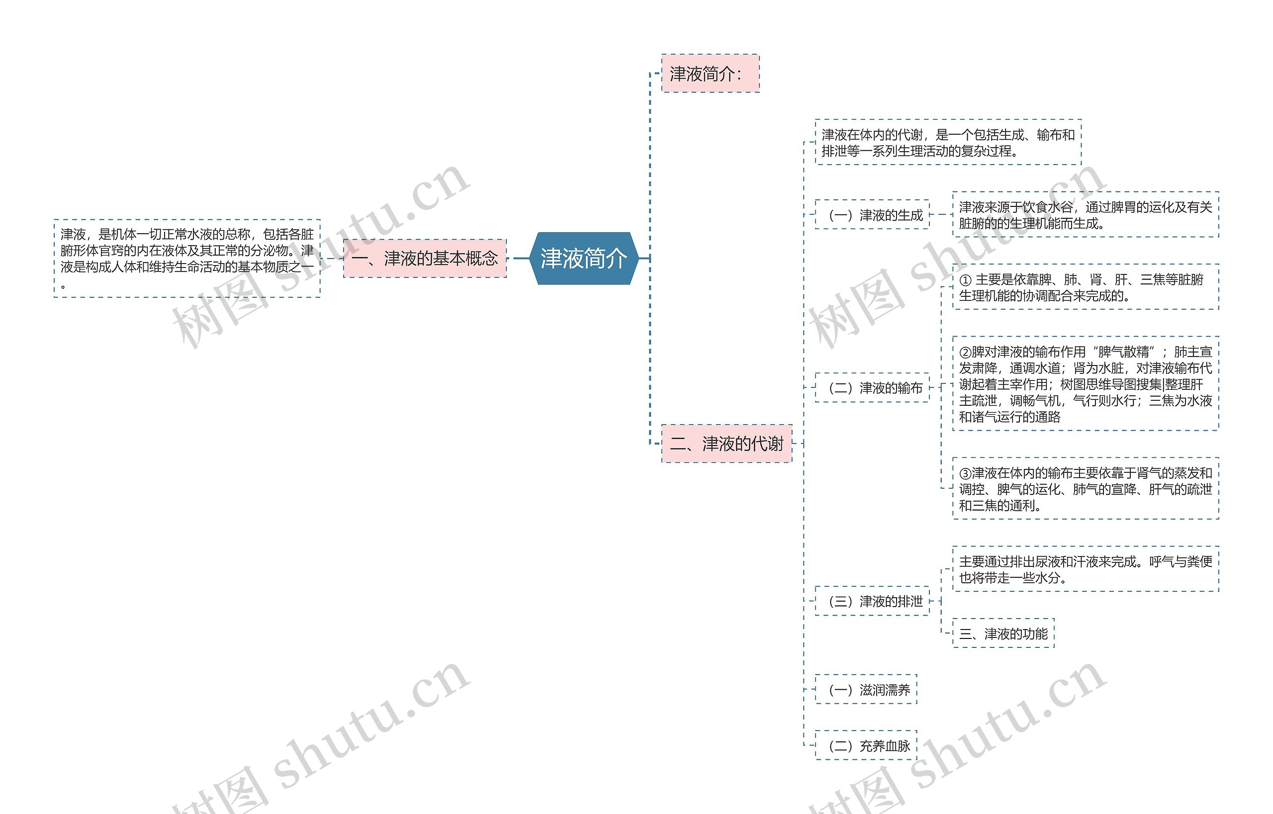 津液简介思维导图