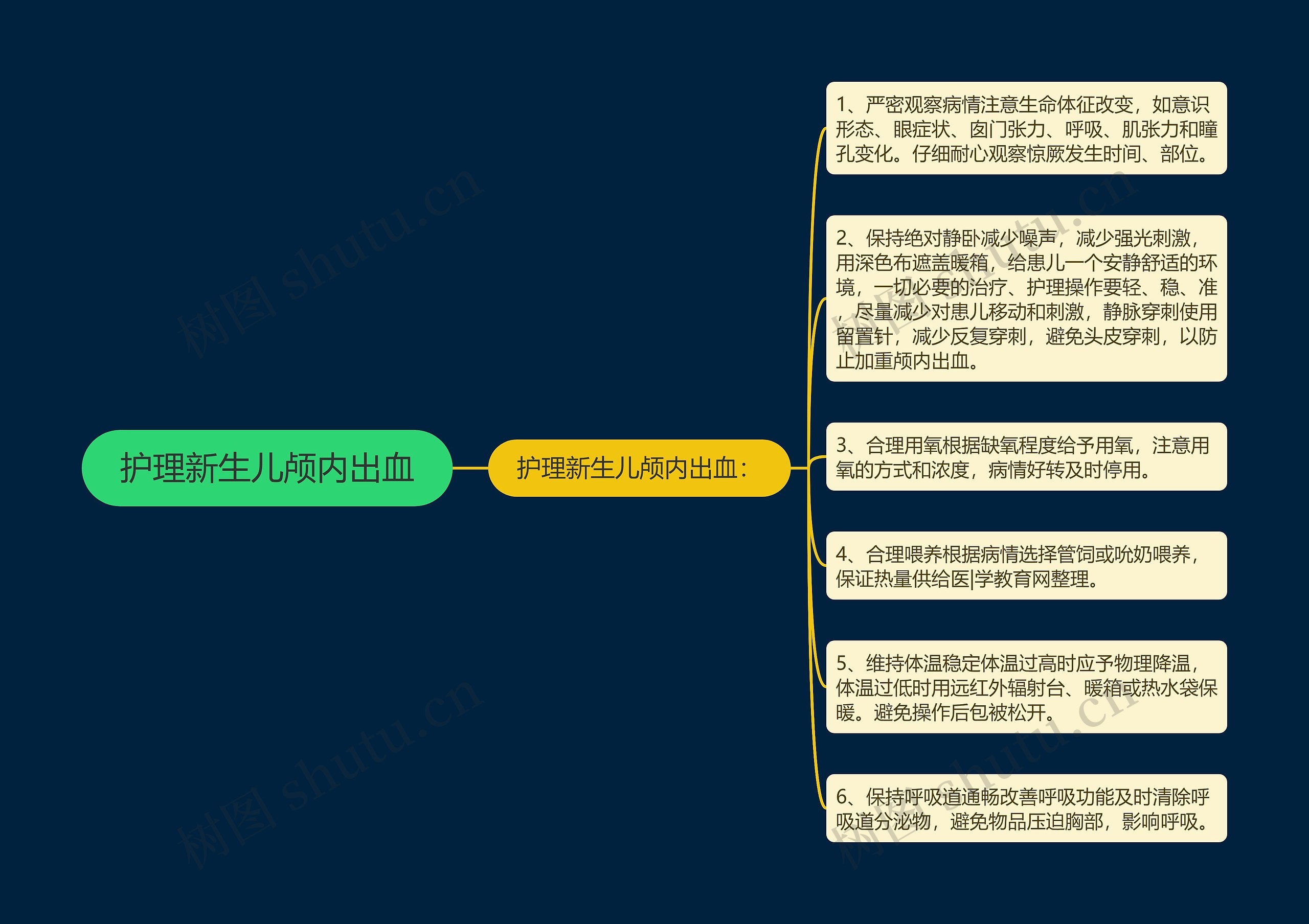 护理新生儿颅内出血思维导图