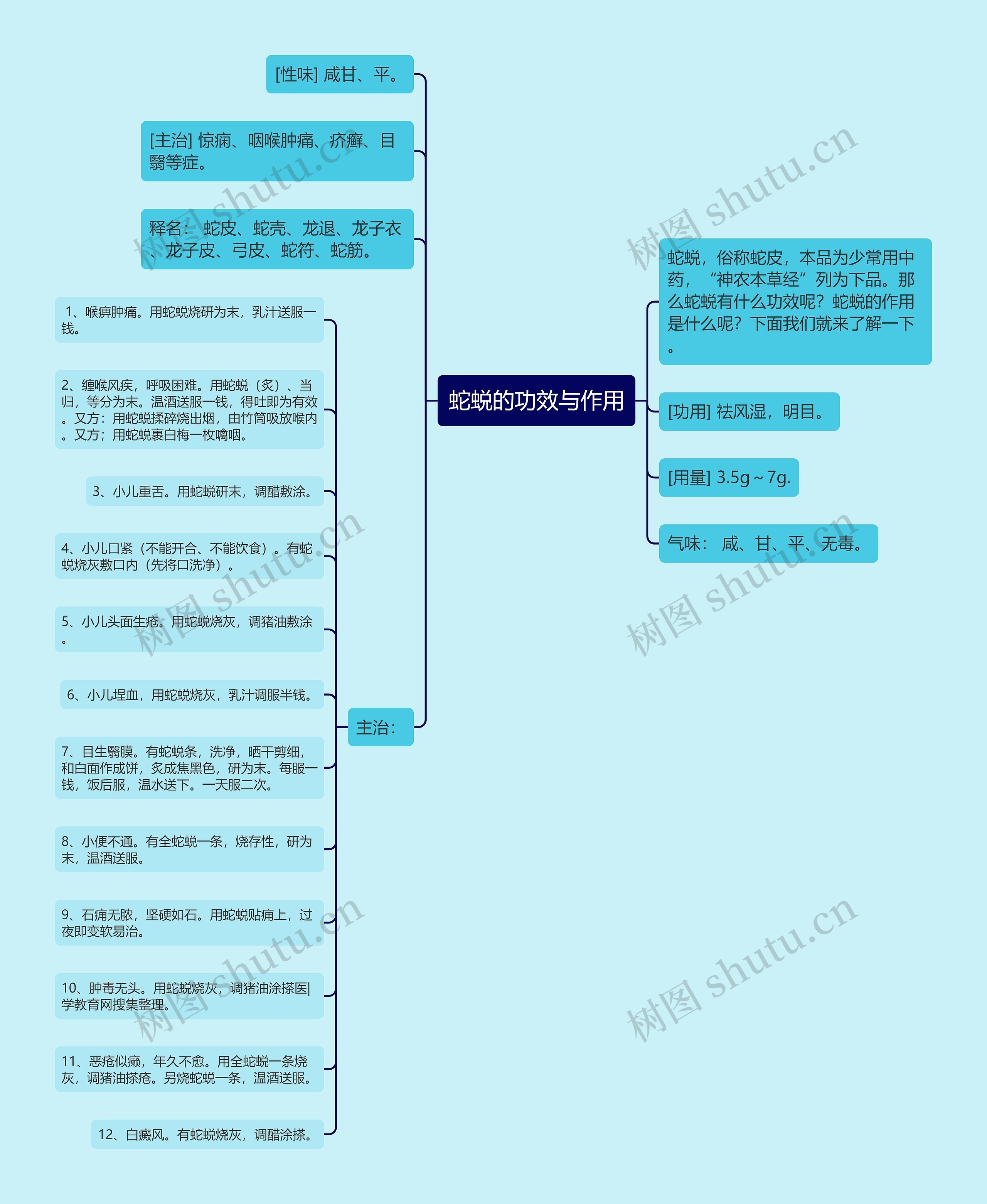 蛇蜕的功效与作用思维导图