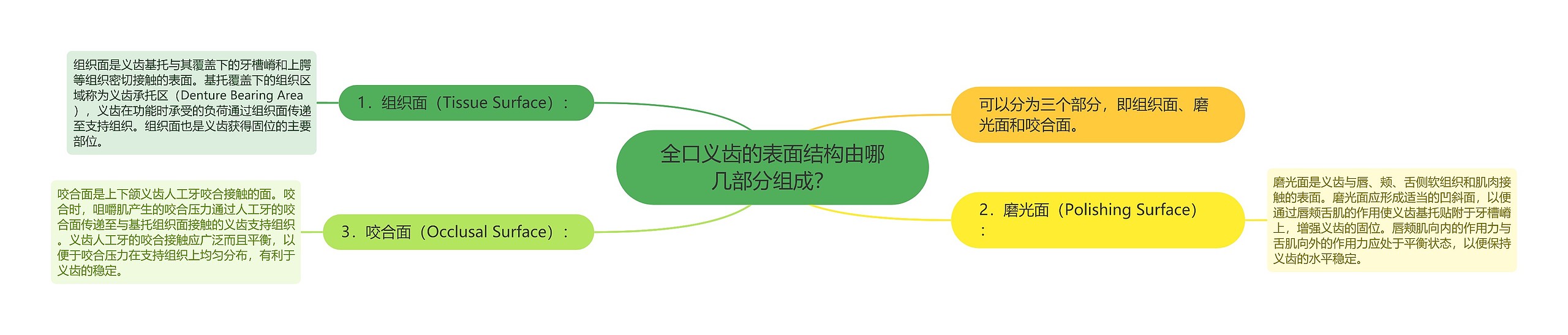 全口义齿的表面结构由哪几部分组成? 全口义齿的表面结构由哪几部分组成?