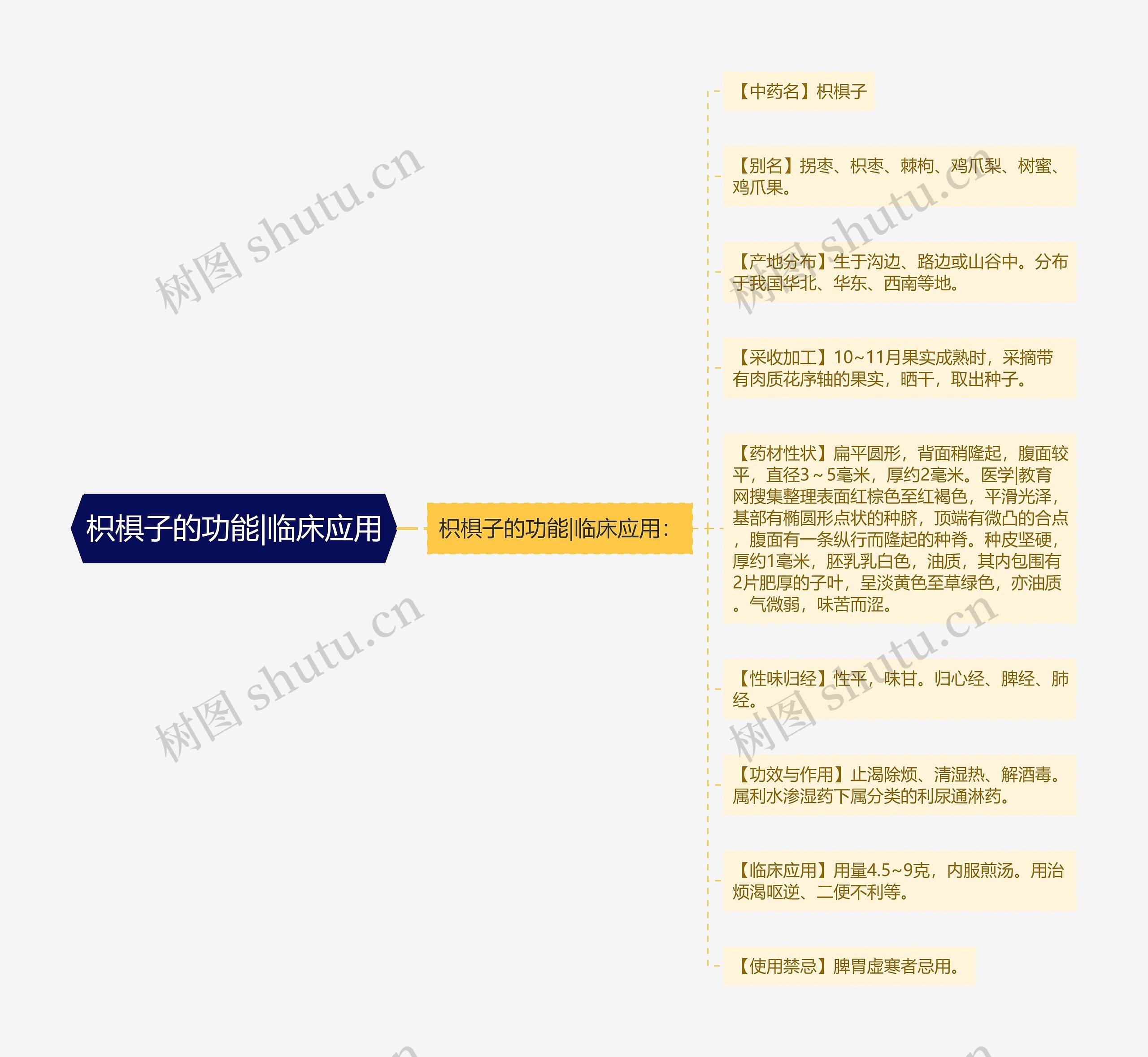 枳椇子的功能|临床应用