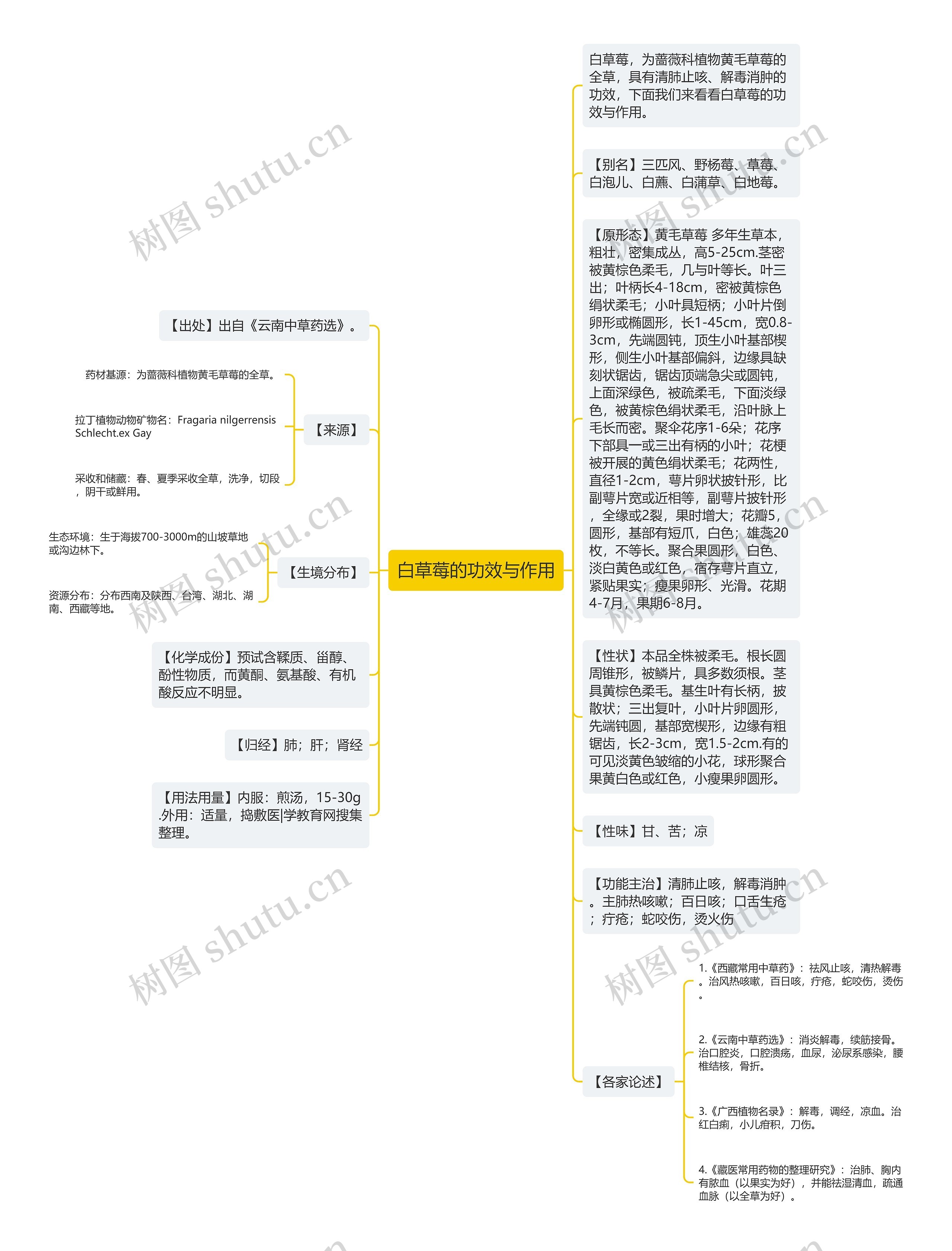 白草莓的功效与作用