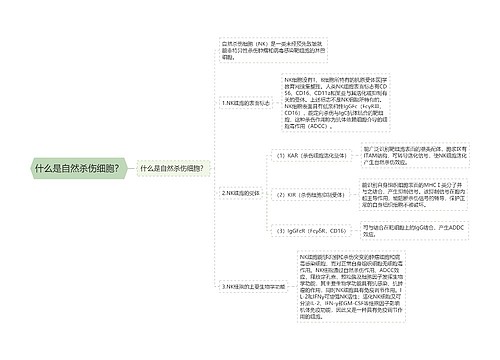 什么是自然杀伤细胞？