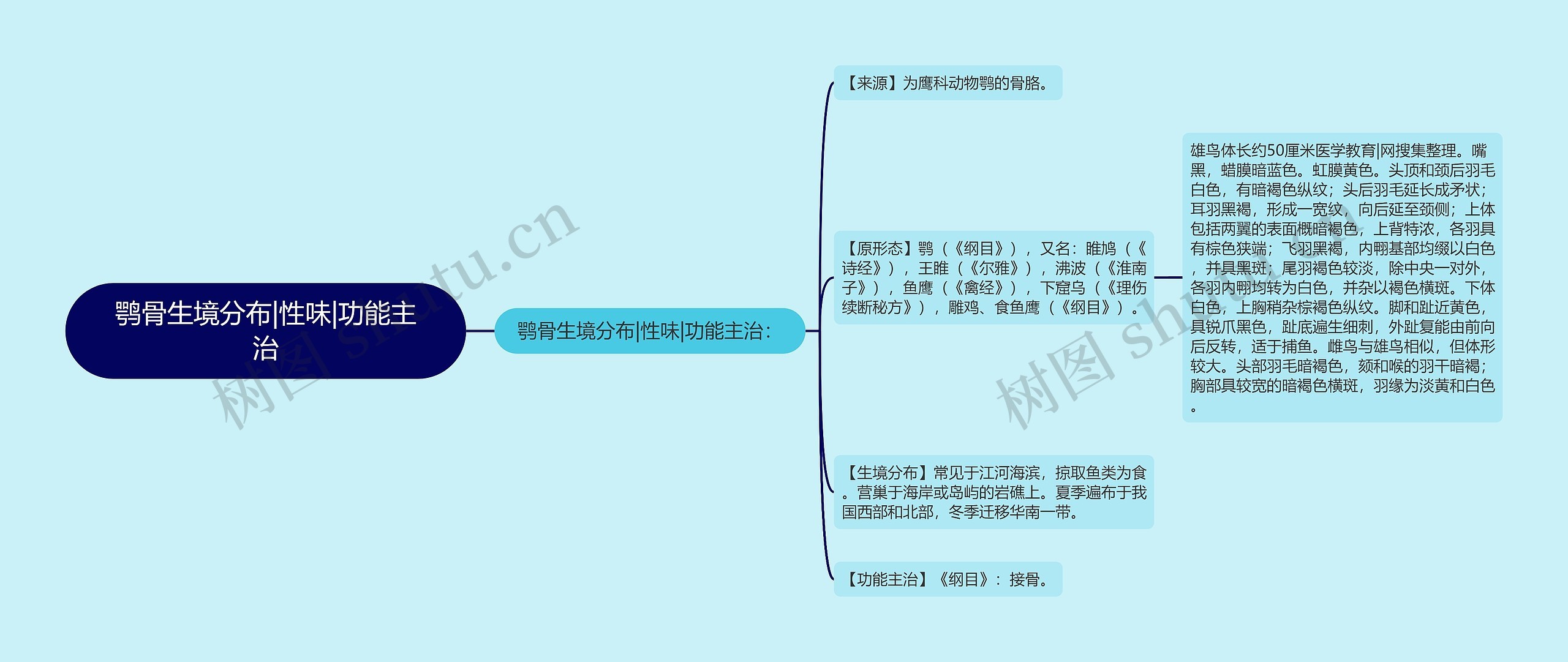 鹗骨生境分布|性味|功能主治