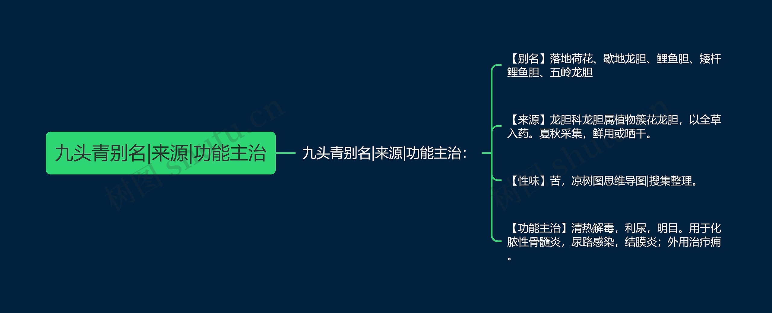 九头青别名|来源|功能主治思维导图