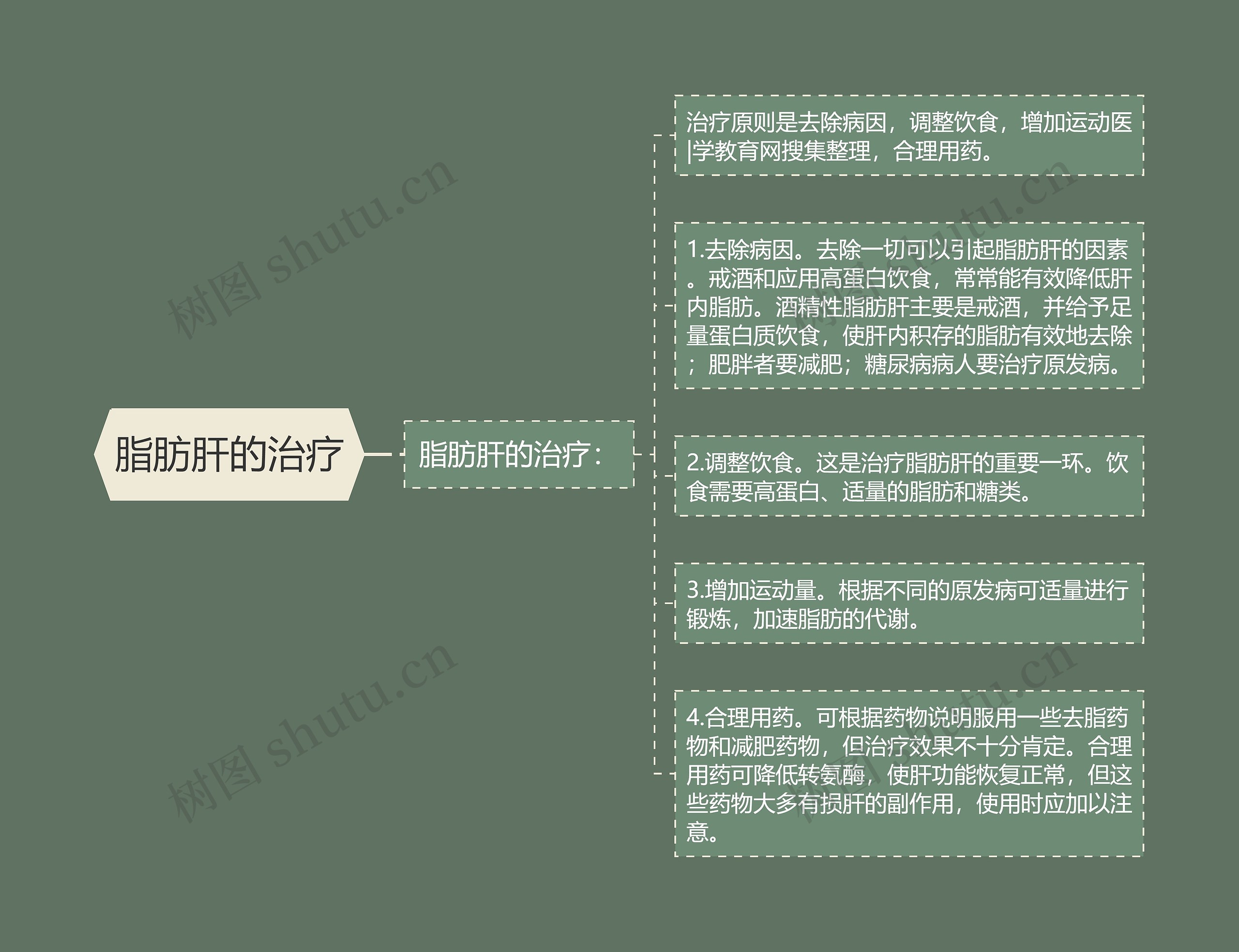 脂肪肝的治疗 脂肪肝的治疗