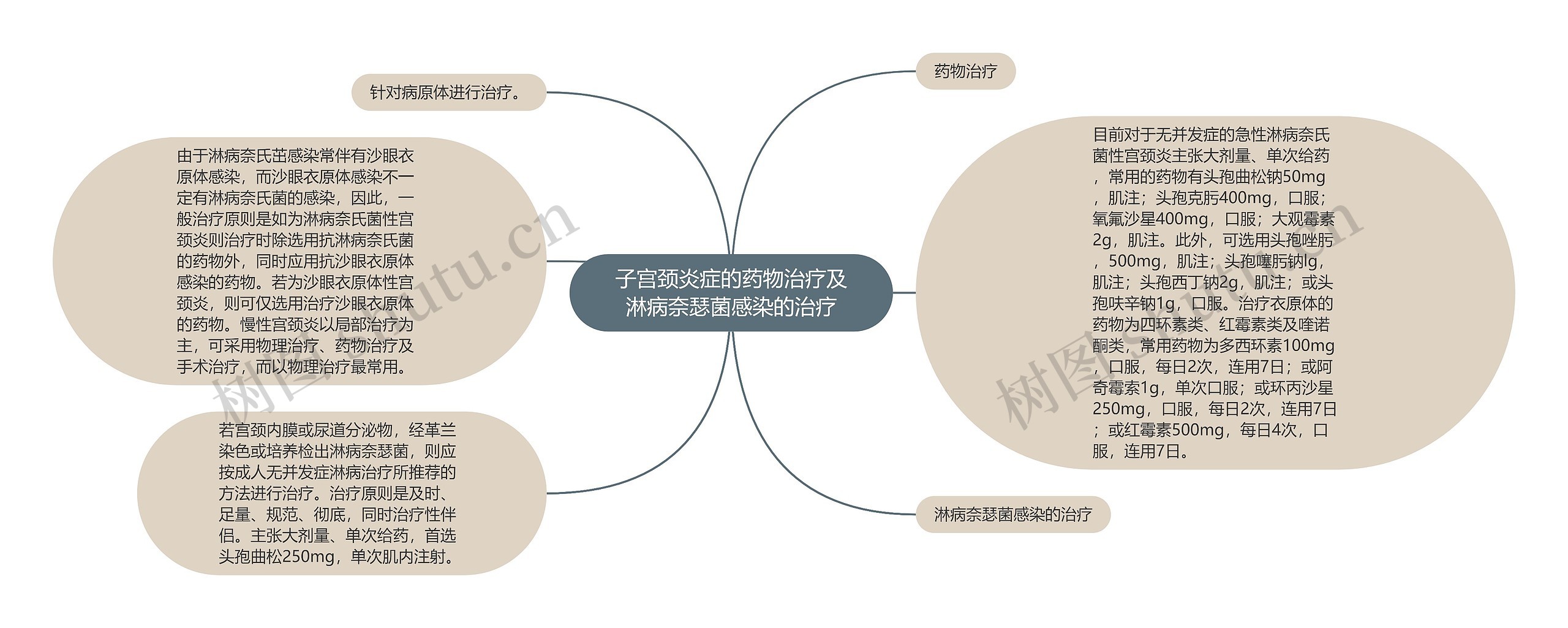 子宫颈炎症的药物治疗及淋病奈瑟菌感染的治疗思维导图