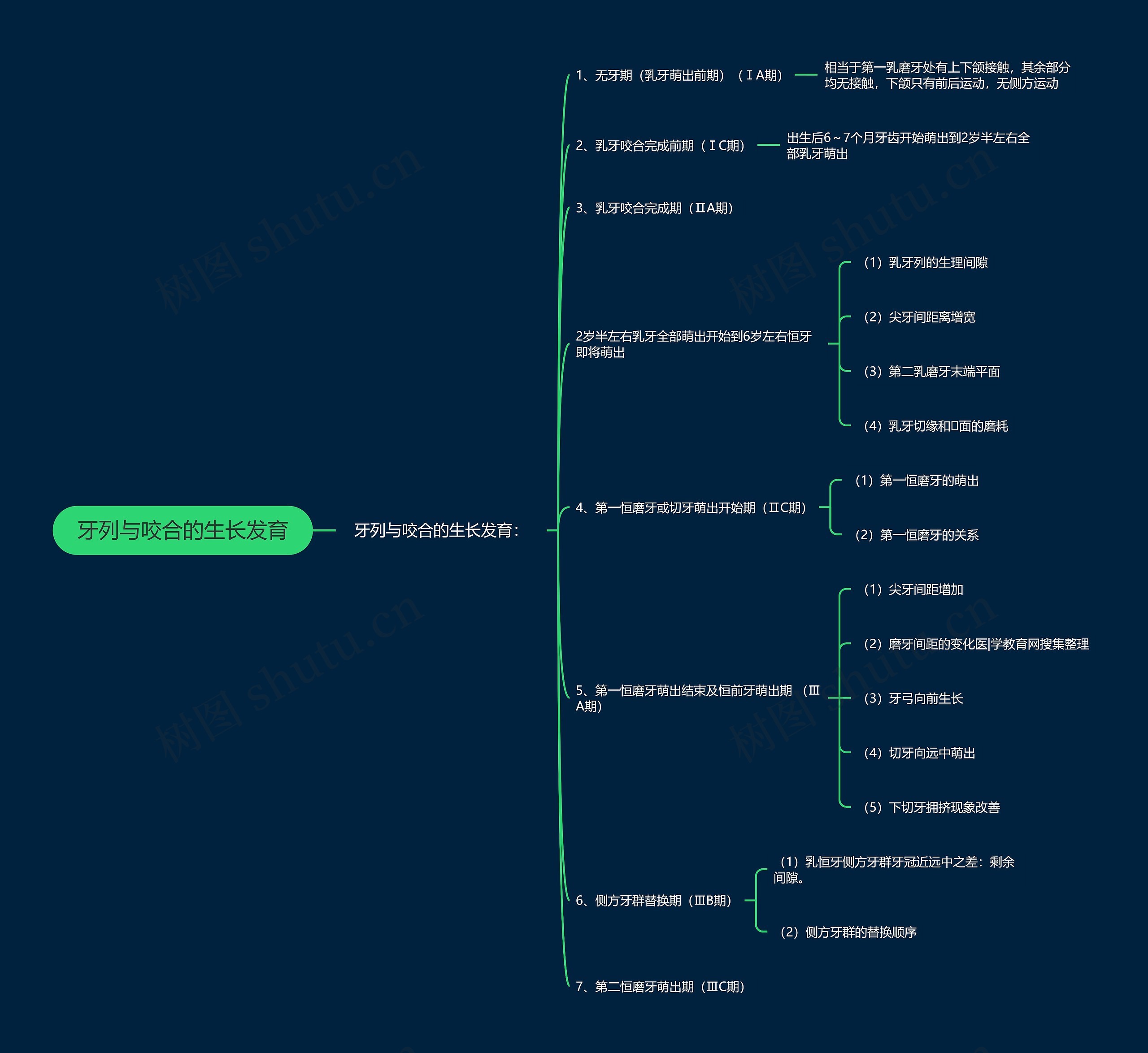 牙列与咬合的生长发育思维导图