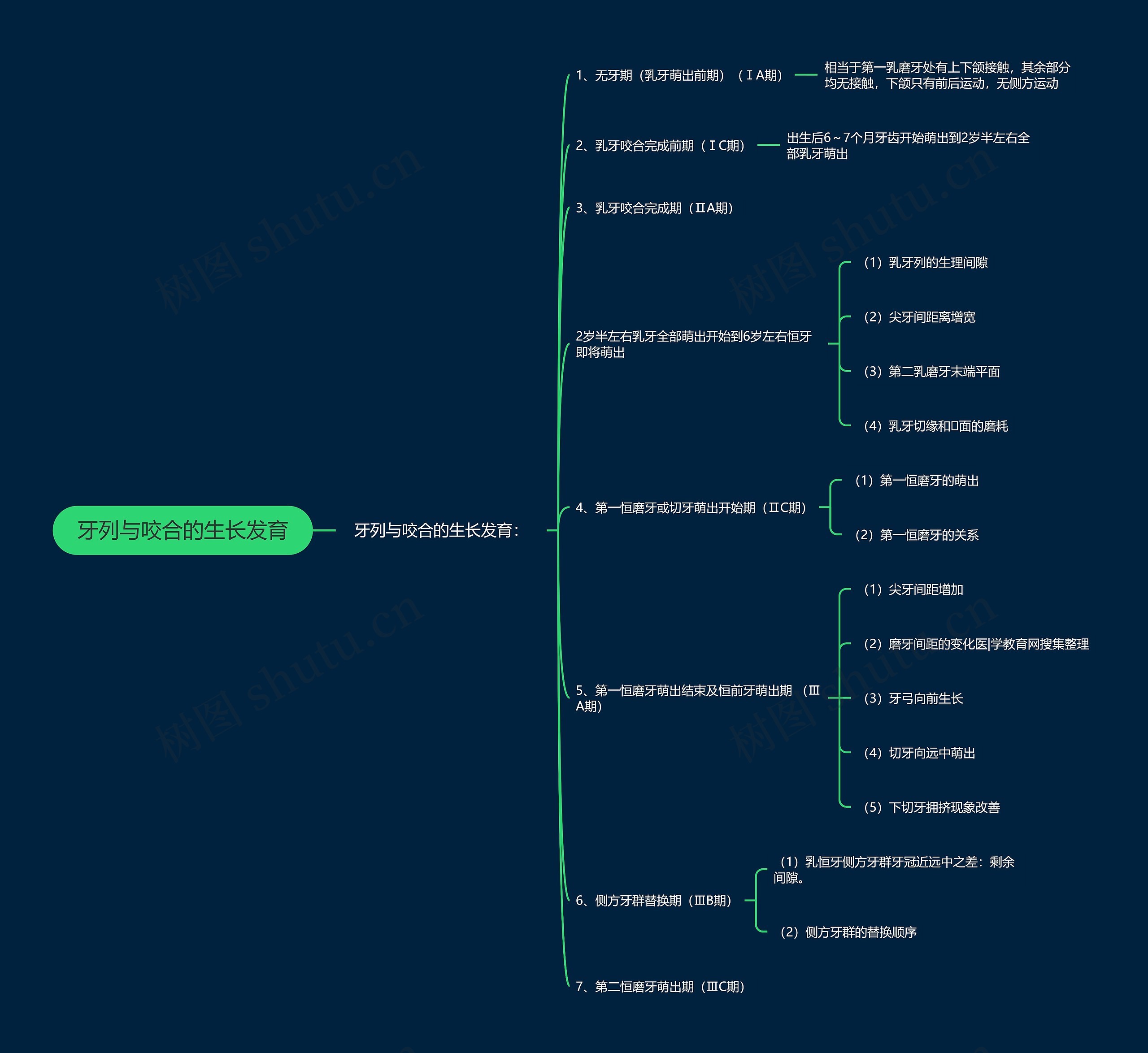 牙列与咬合的生长发育 牙列与咬合的生长发育