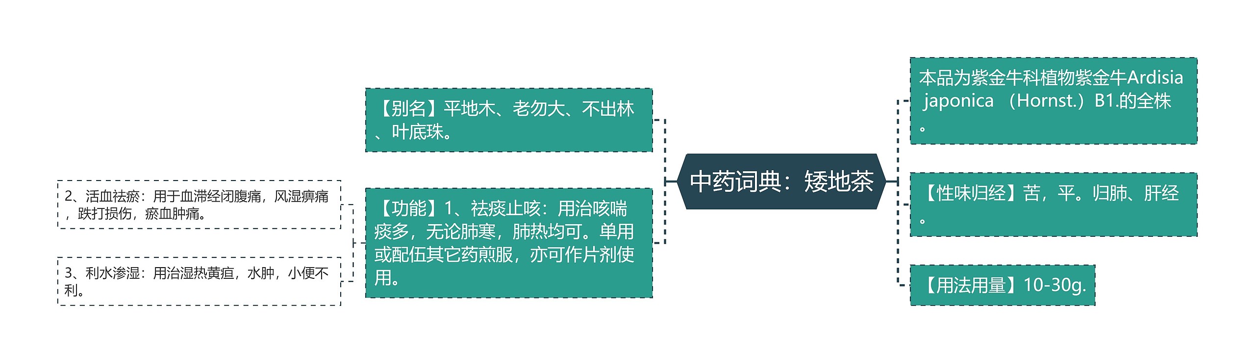 中药词典：矮地茶思维导图