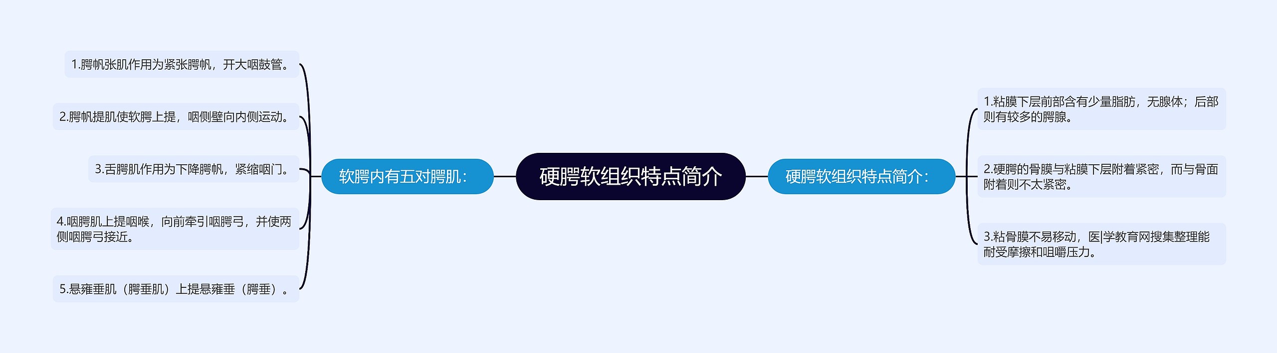 硬腭软组织特点简介