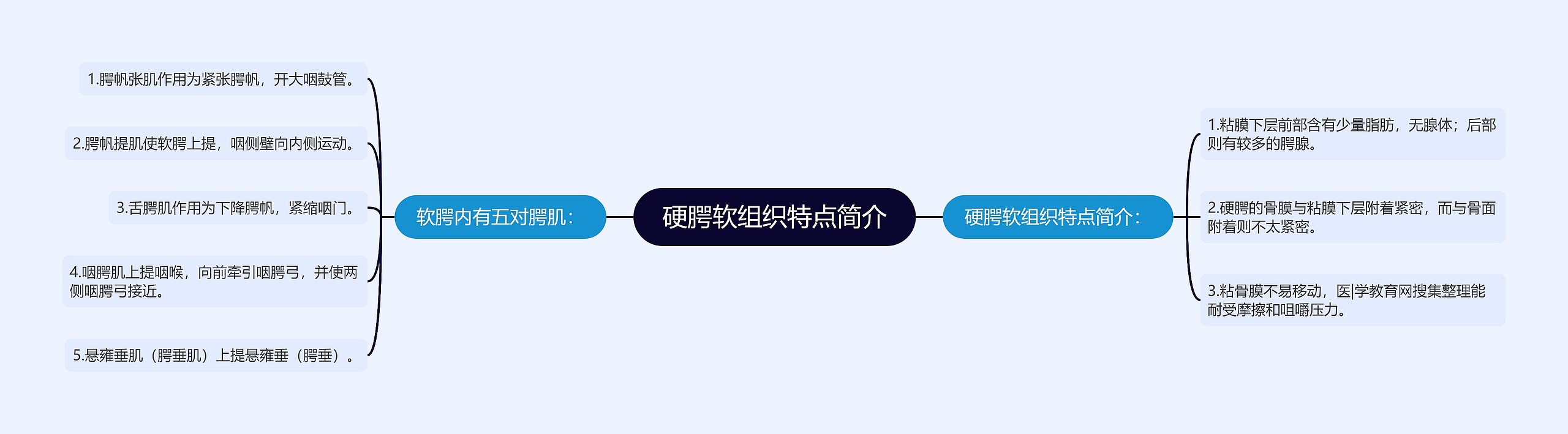 硬腭软组织特点简介思维导图