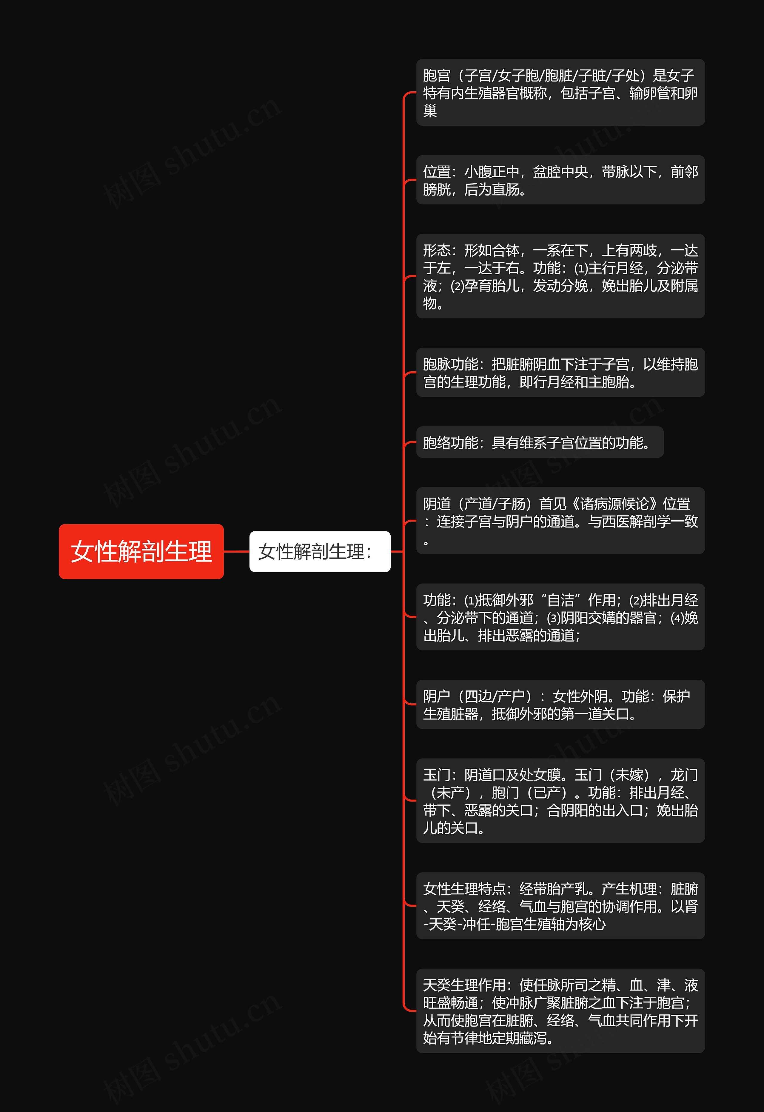 女性解剖生理 女性解剖生理