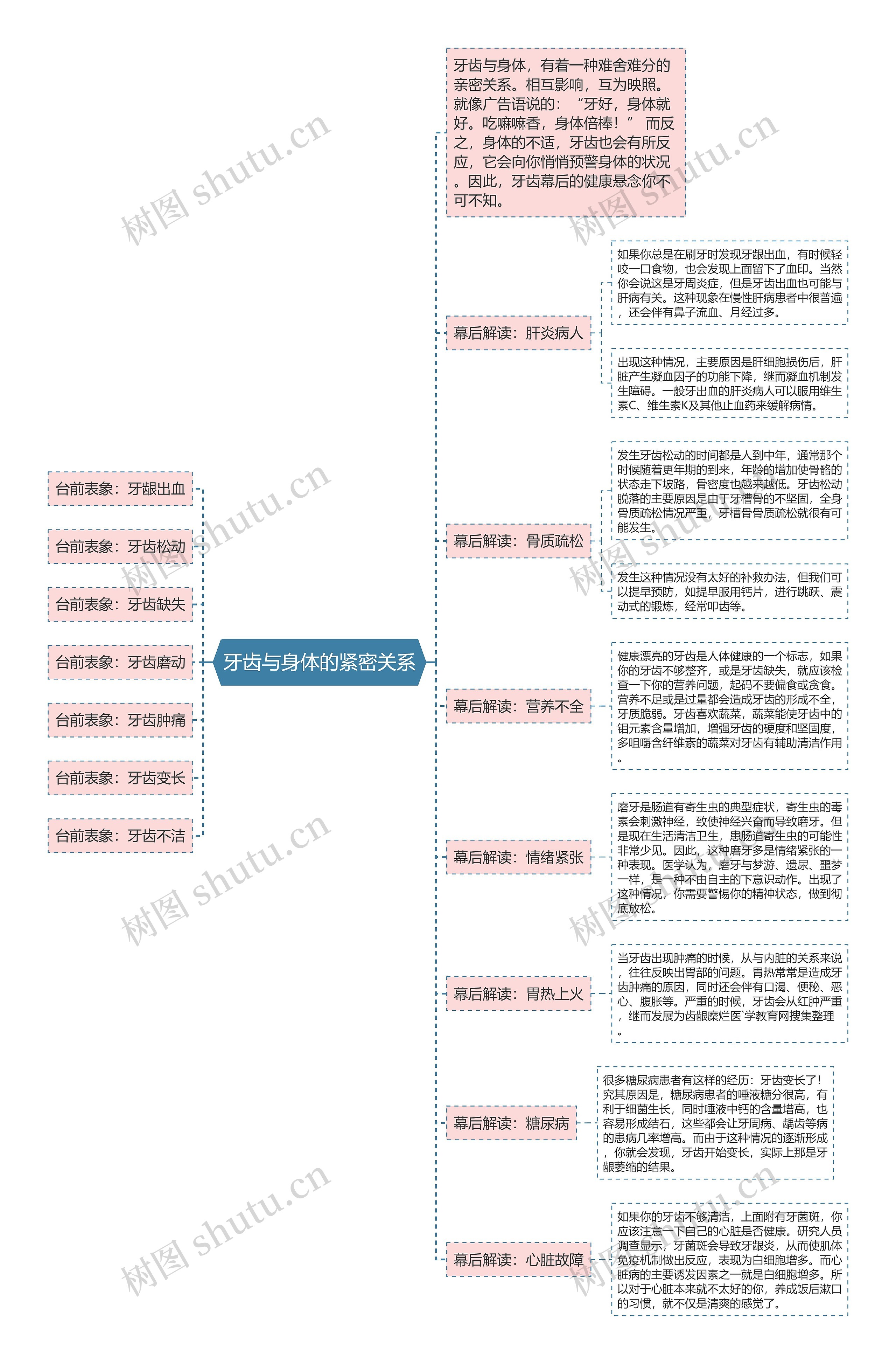 牙齿与身体的紧密关系思维导图