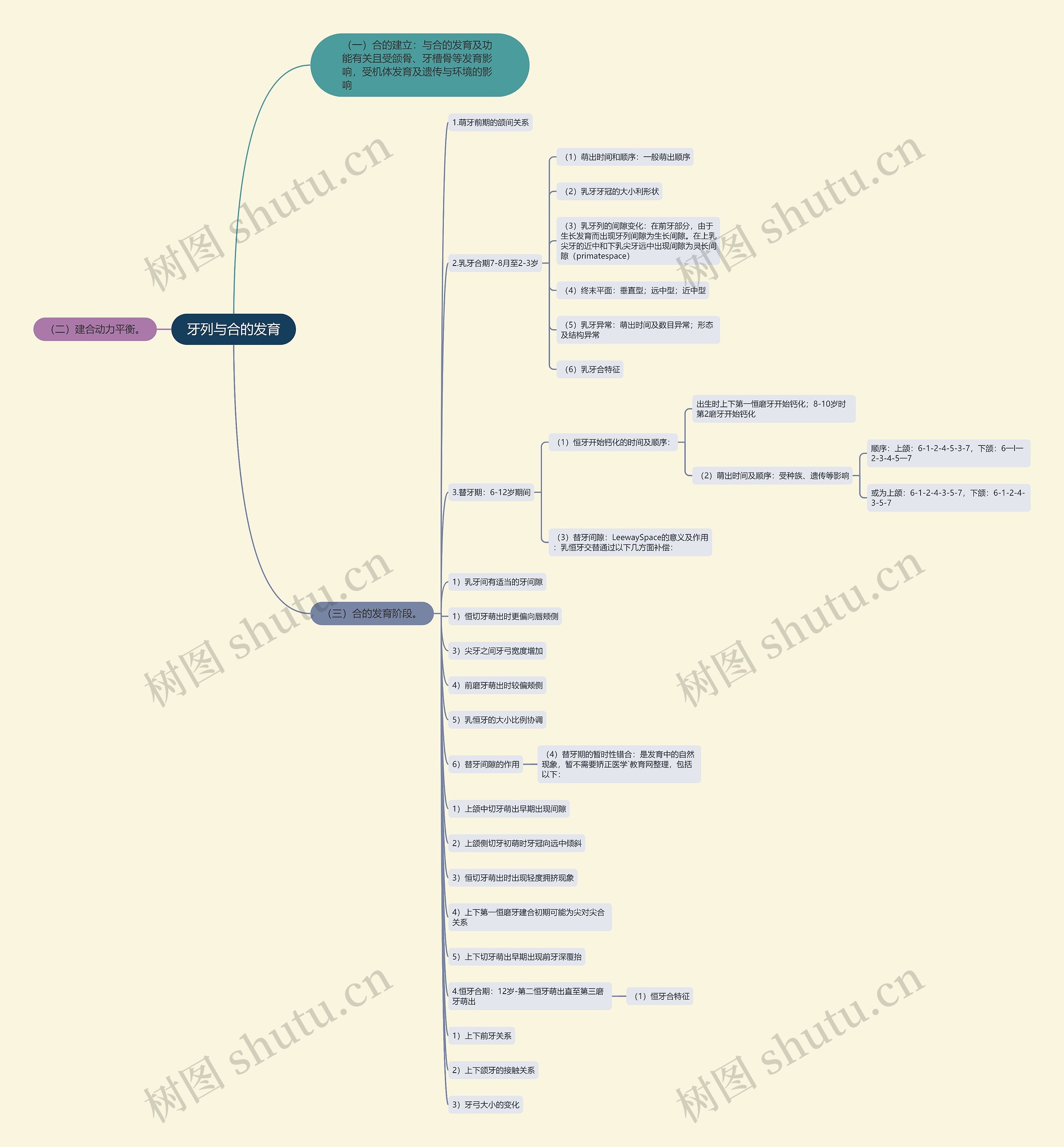 牙列与合的发育思维导图