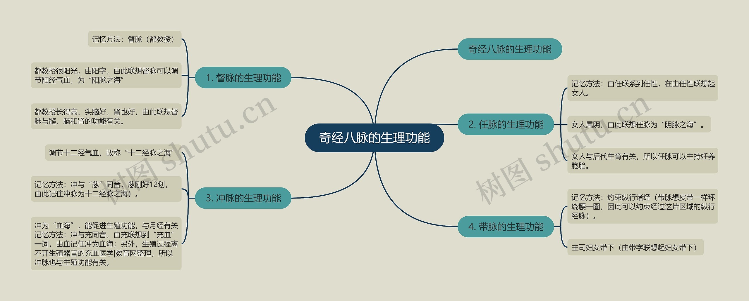 奇经八脉的生理功能