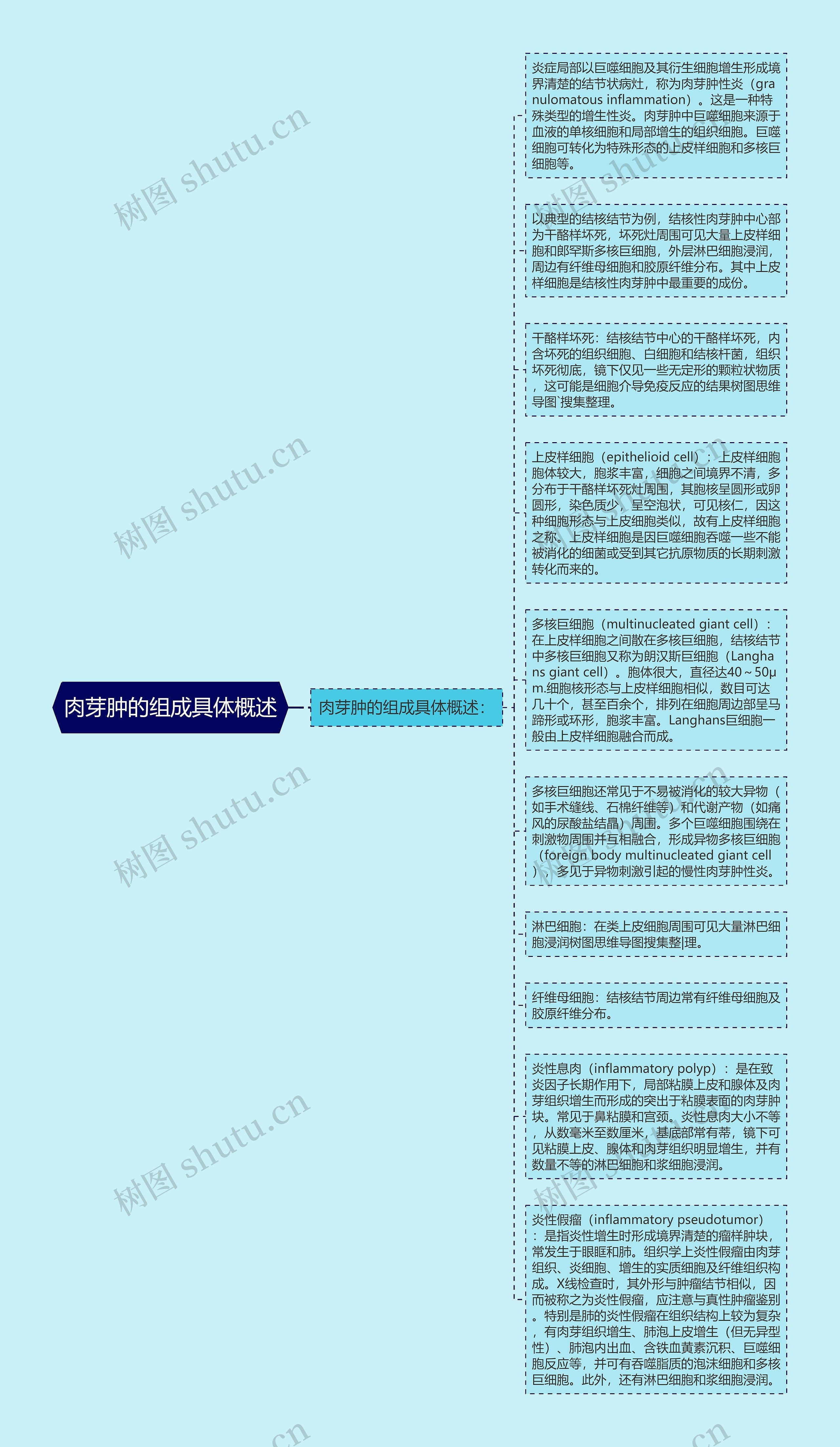 肉芽肿的组成具体概述思维导图