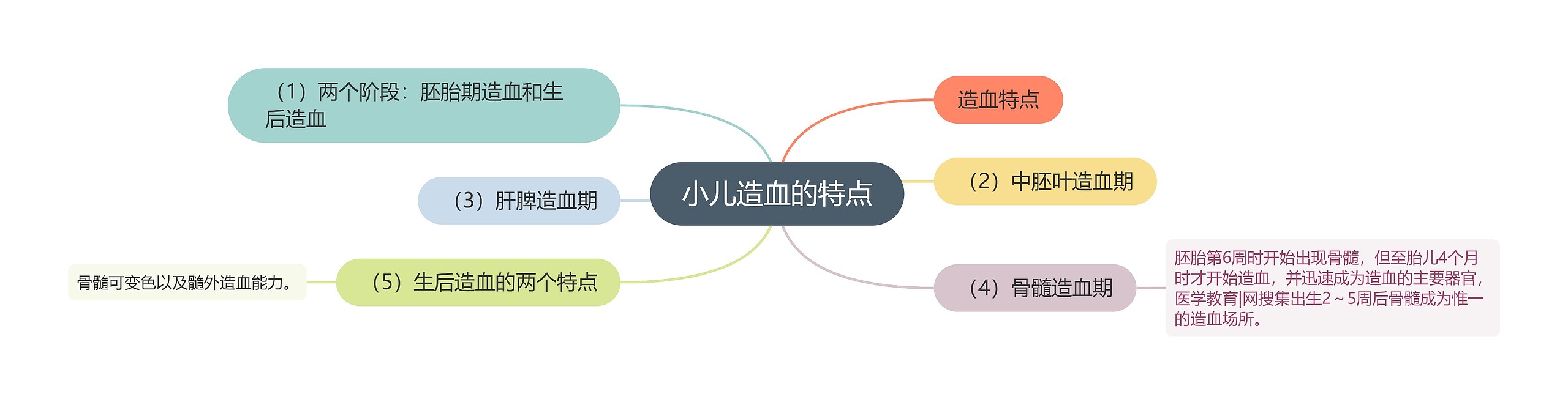 小儿造血的特点思维导图