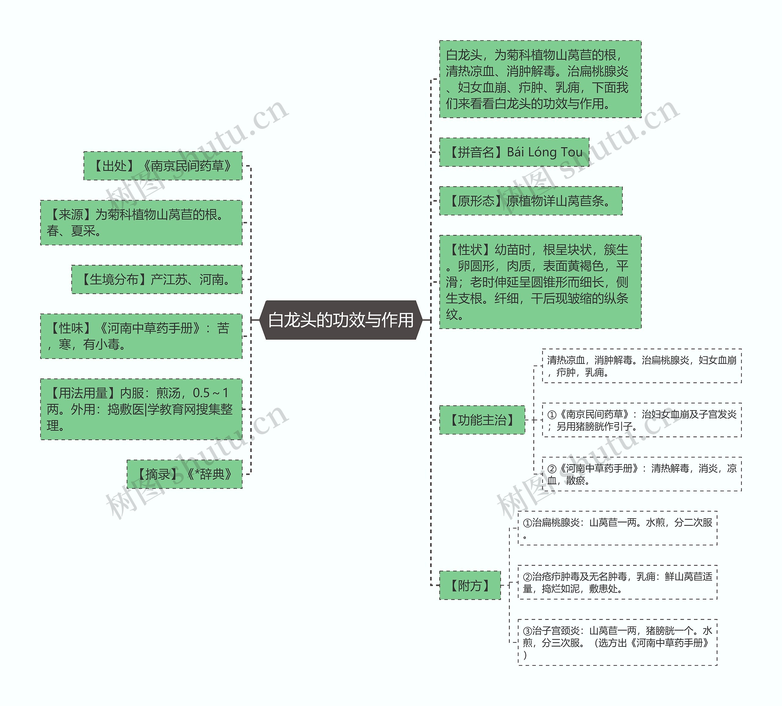 白龙头的功效与作用思维导图