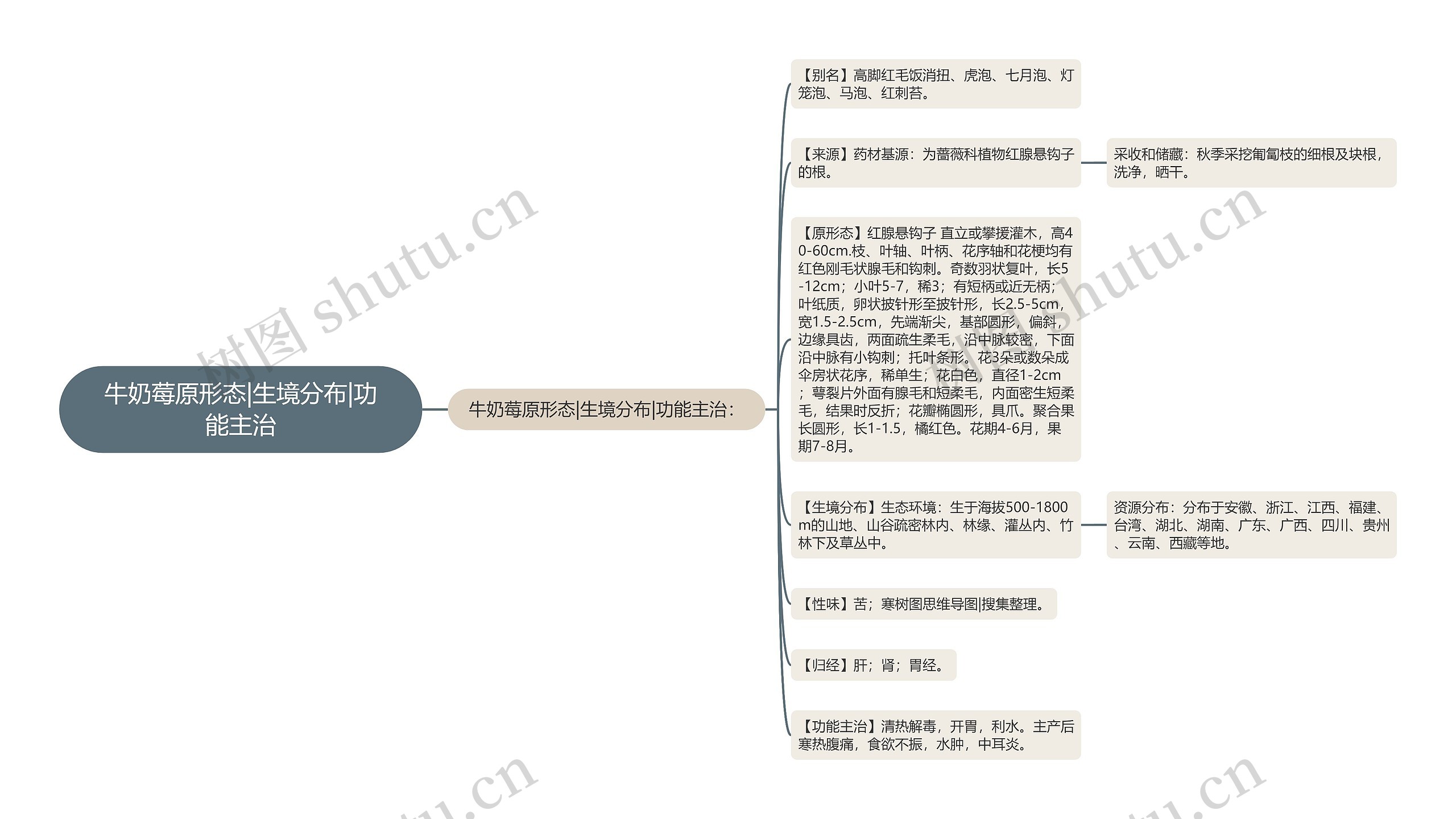 牛奶莓原形态|生境分布|功能主治 牛奶莓原形态|生境分布|功能主治