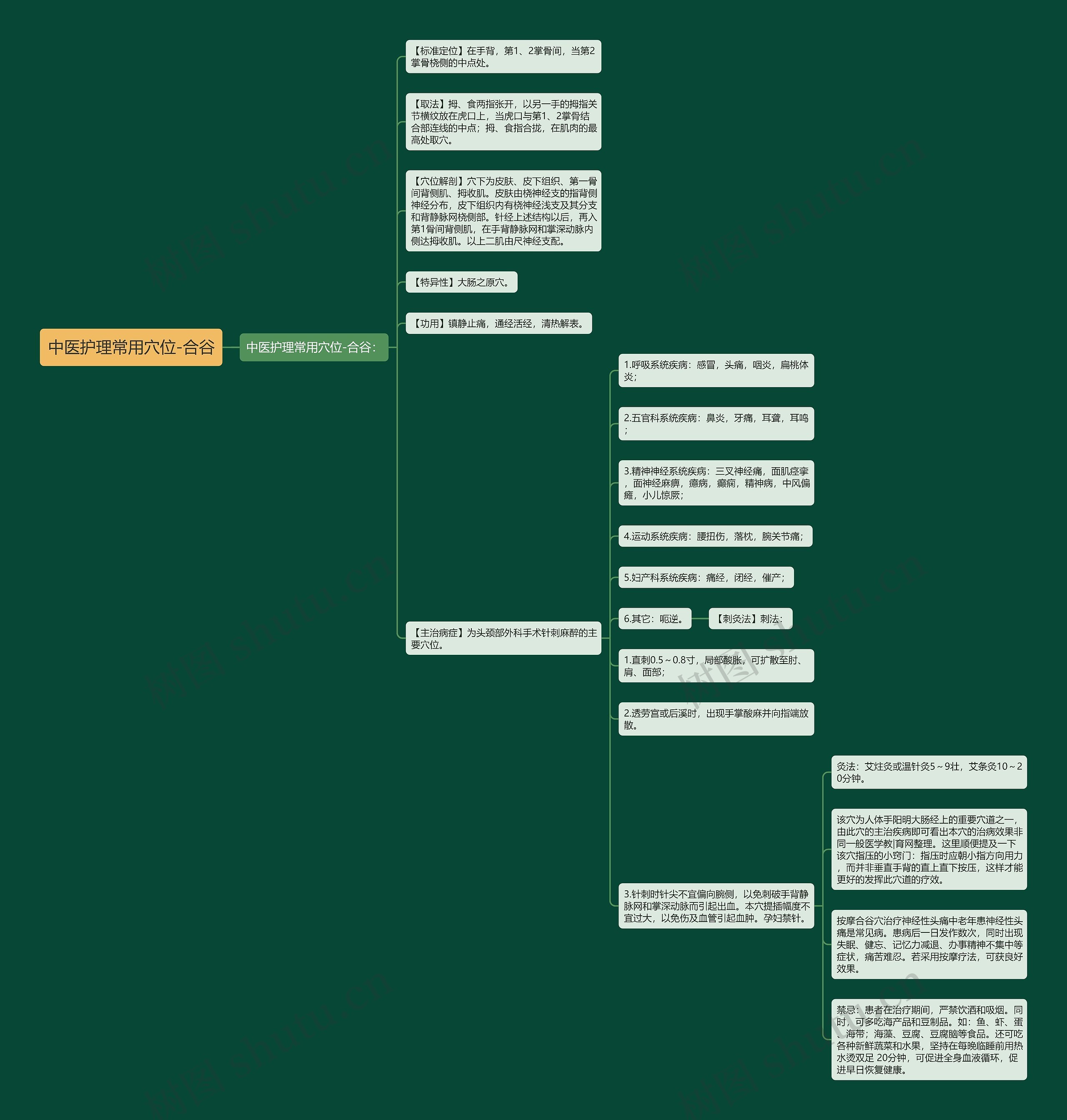 中医护理常用穴位-合谷思维导图