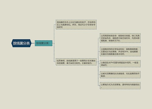 放线菌分类