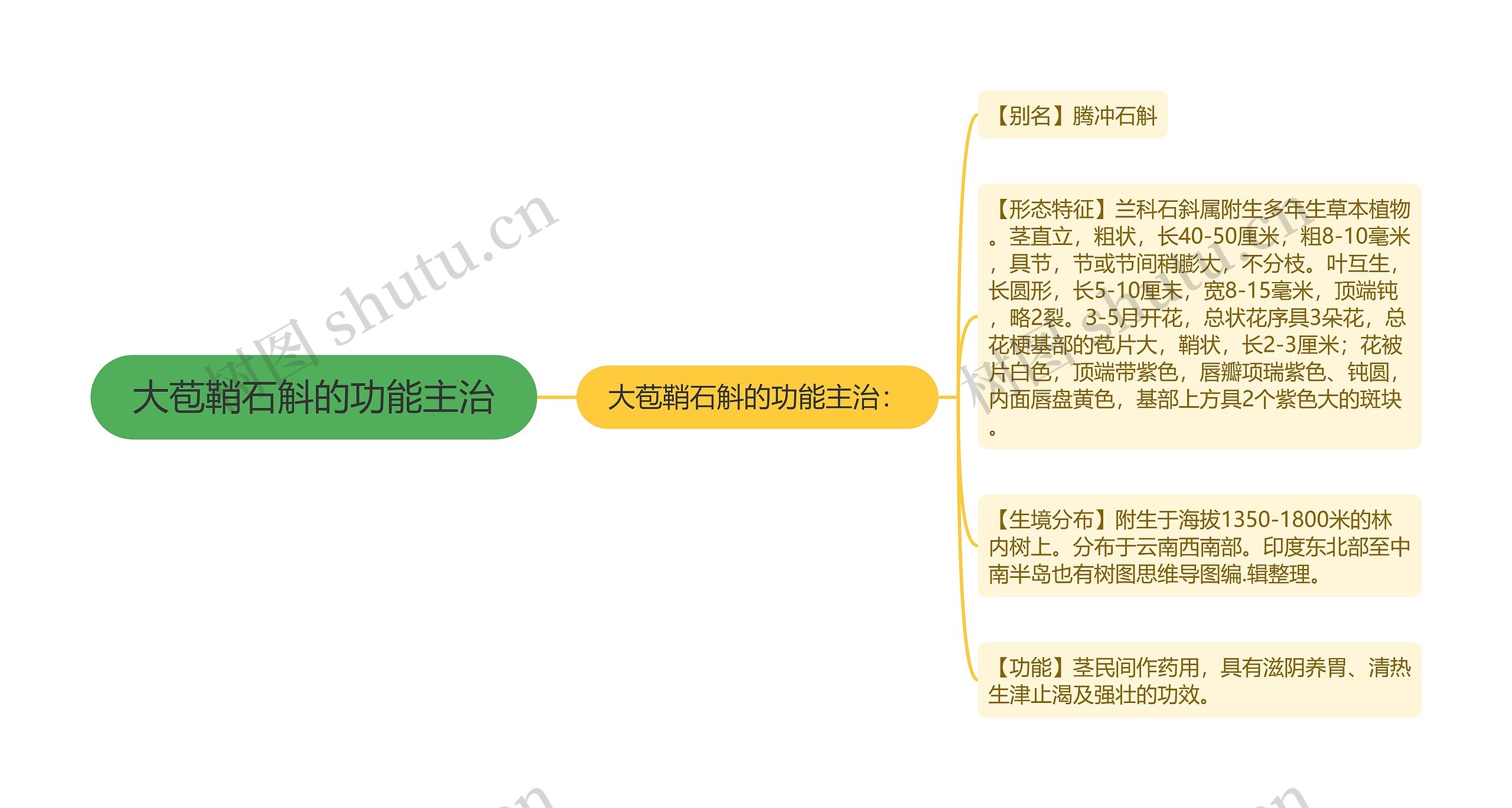 大苞鞘石斛的功能主治思维导图