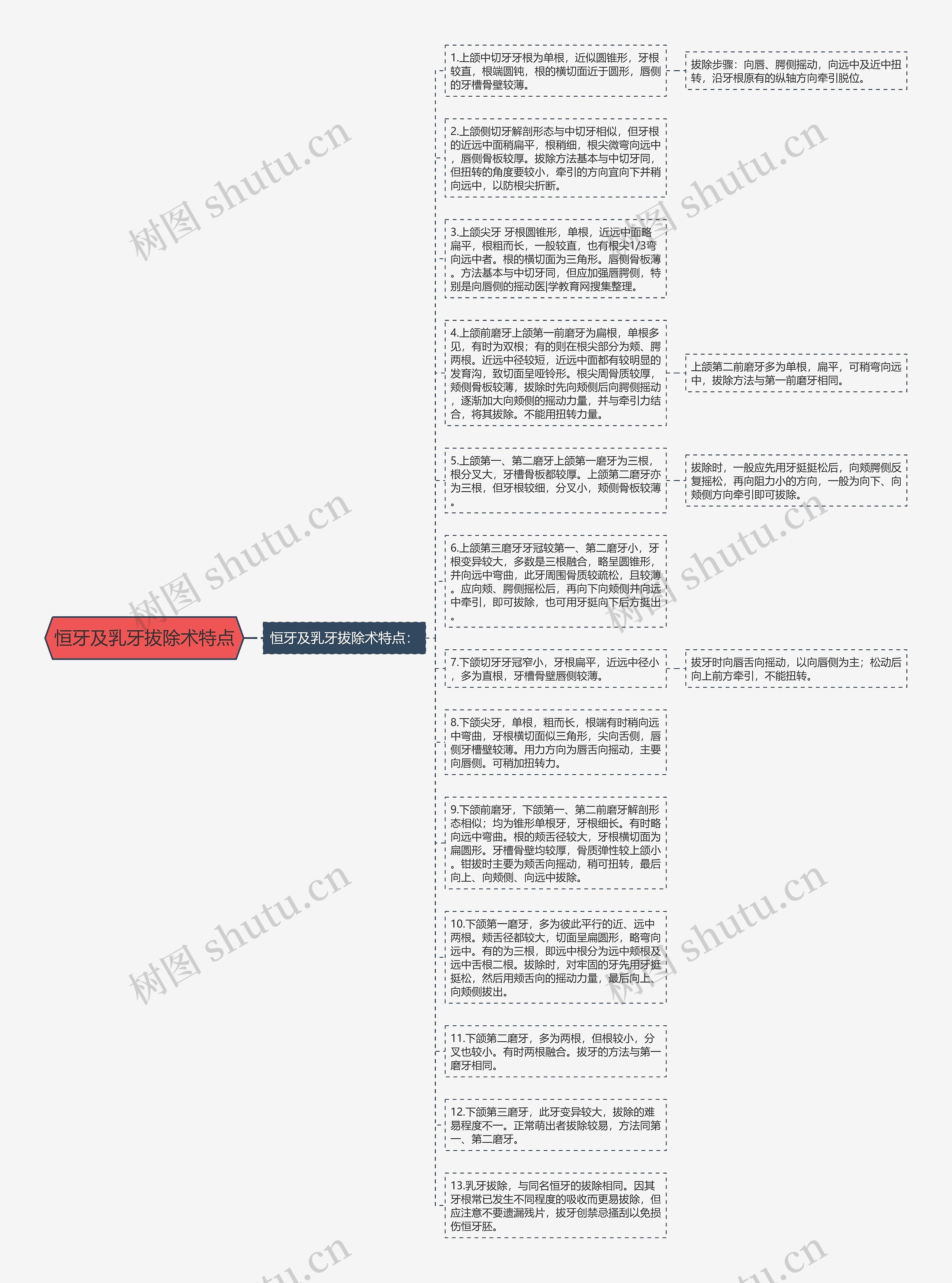 恒牙及乳牙拔除术特点思维导图