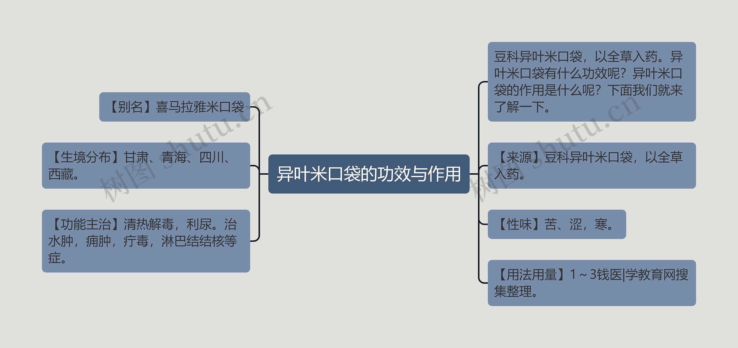 异叶米口袋的功效与作用思维导图