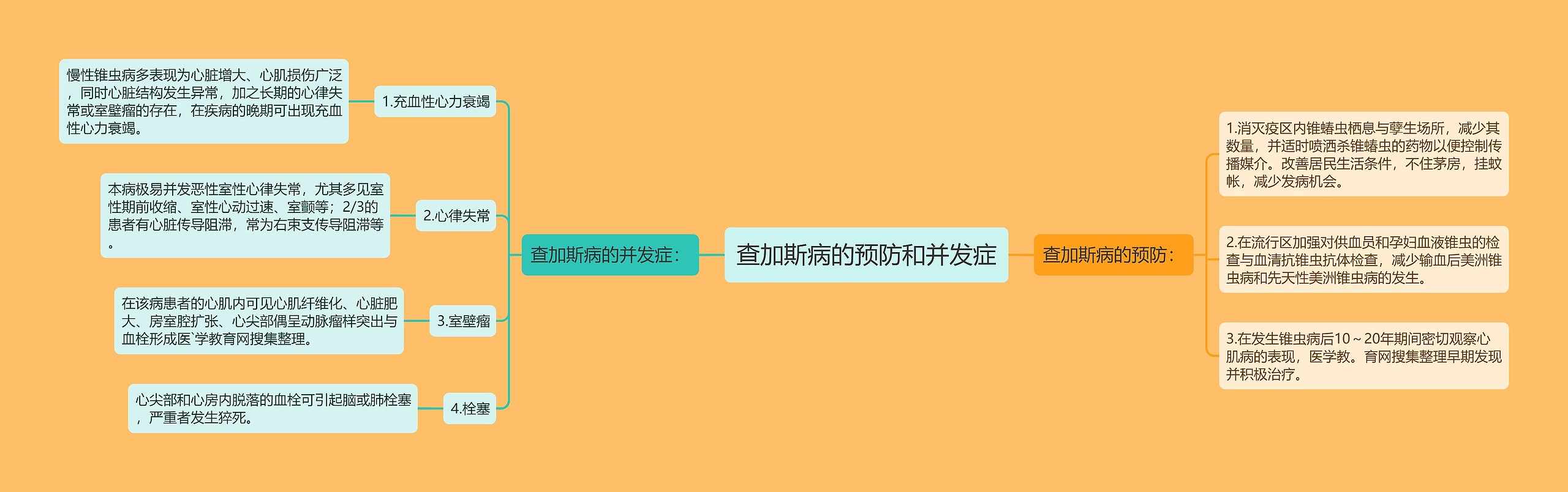 查加斯病的预防和并发症思维导图