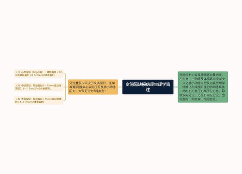 室间隔缺损病理生理学简述