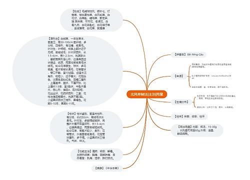 北风草制法|主治|用量