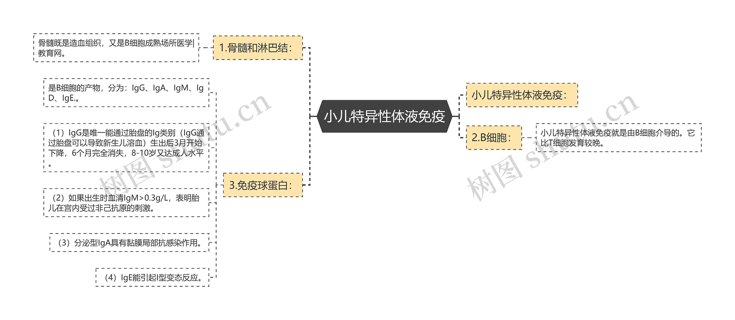 小儿特异性体液免疫思维导图